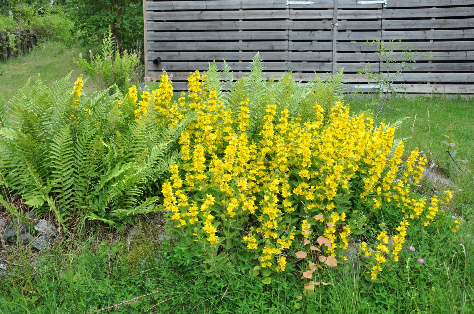 Fritidshus, Rågvägen 37, Ryssbo, Enköping