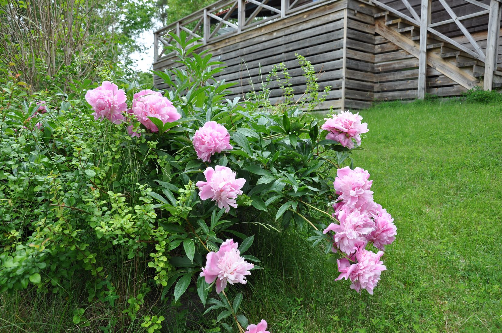 Fritidshus, Rågvägen 37, Ryssbo, Enköping