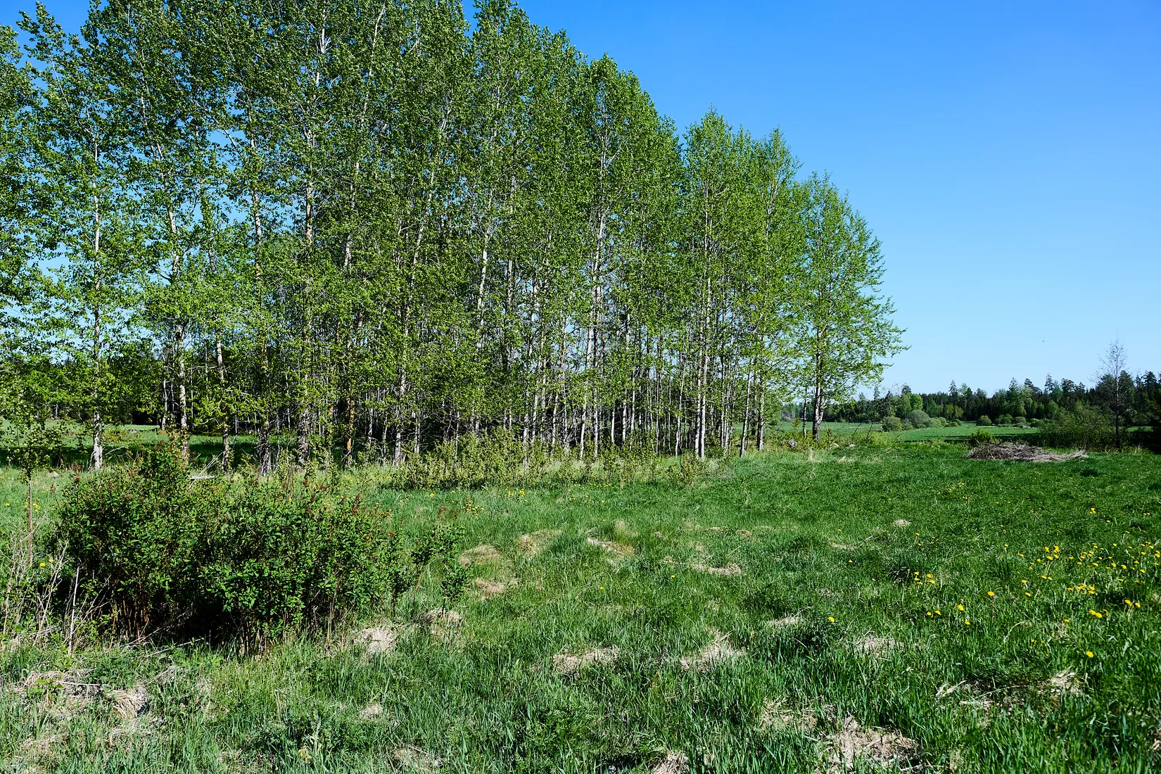 Tomt, Askrännilen 5, Strängnäs