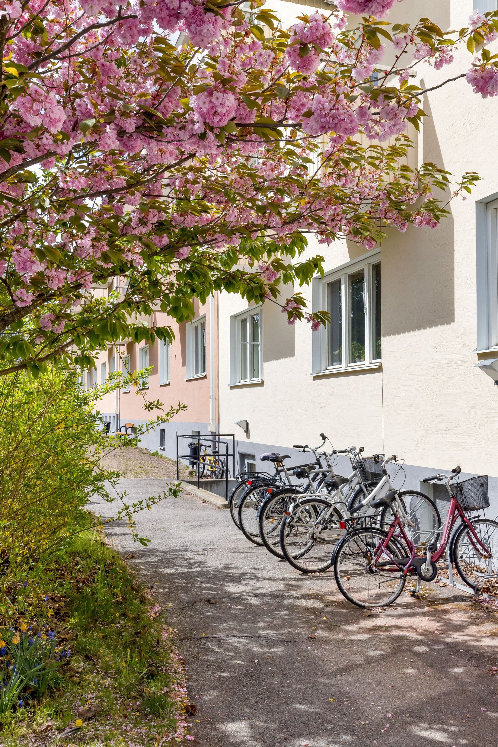 Bostadsrätt, Götgatan 30A, Övre Vasastaden, Linköping