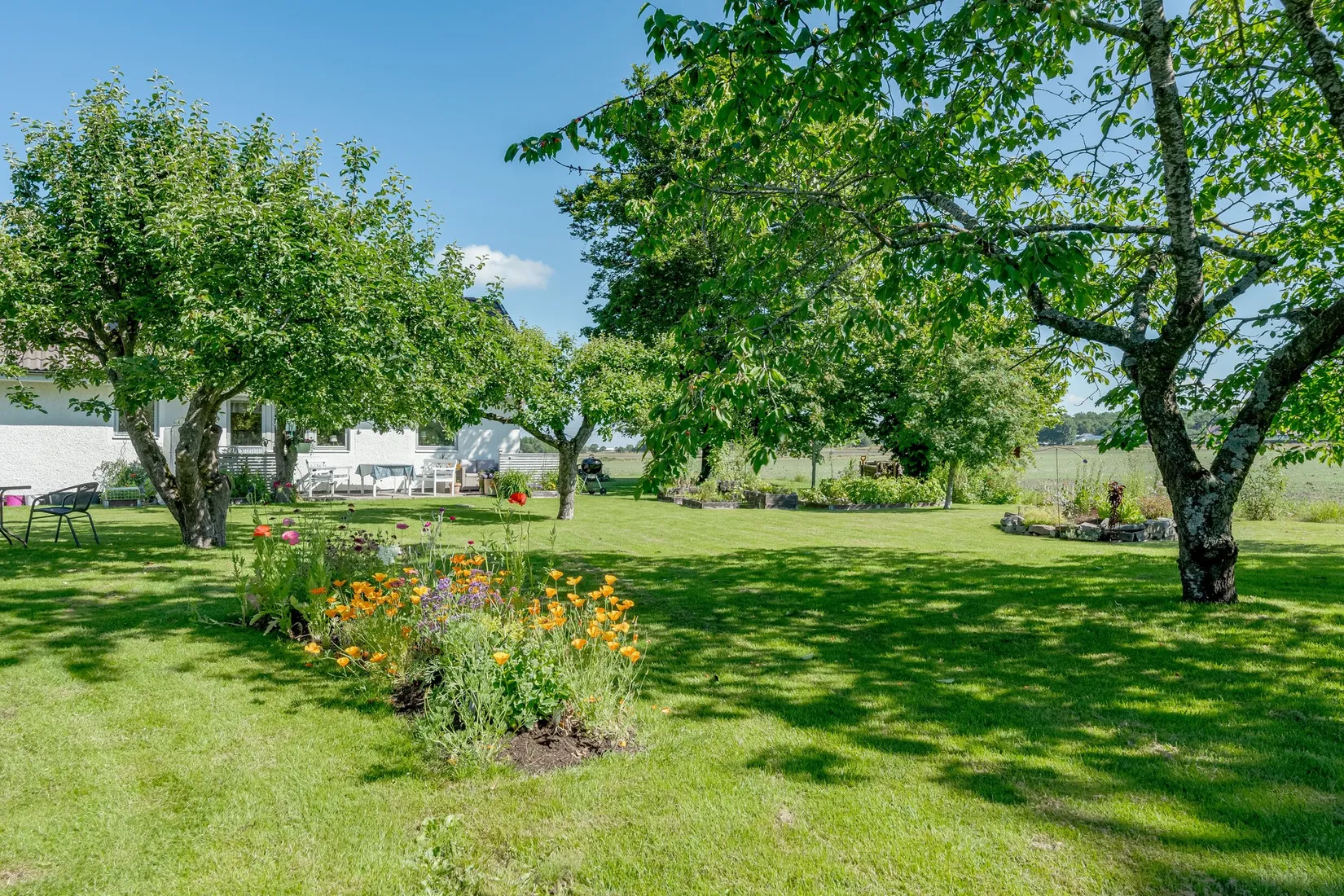 Gård/Skog, Skogstorp BÅNGA 204, Skogstorp, Falkenberg