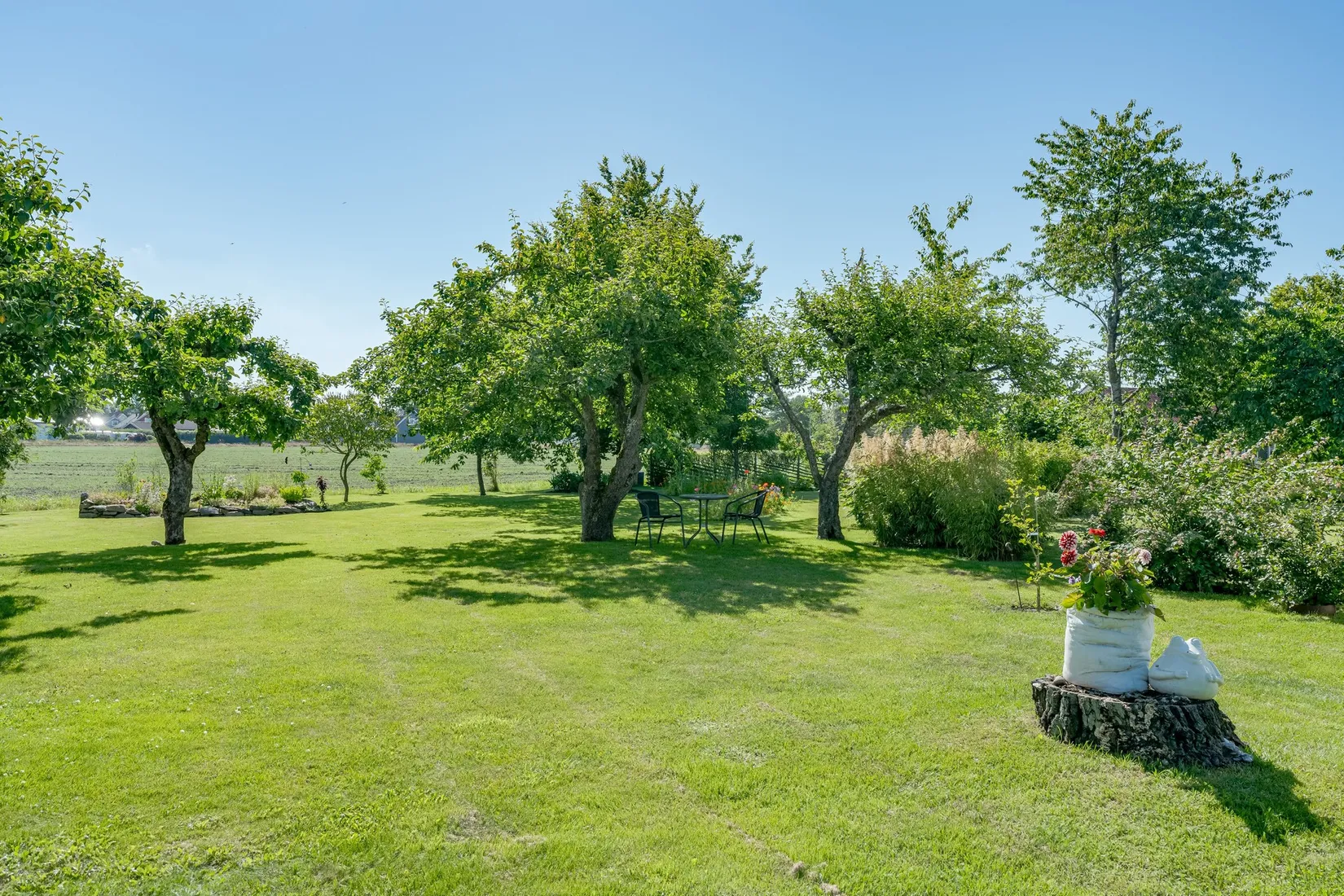 Gård/Skog, Skogstorp BÅNGA 204, Skogstorp, Falkenberg