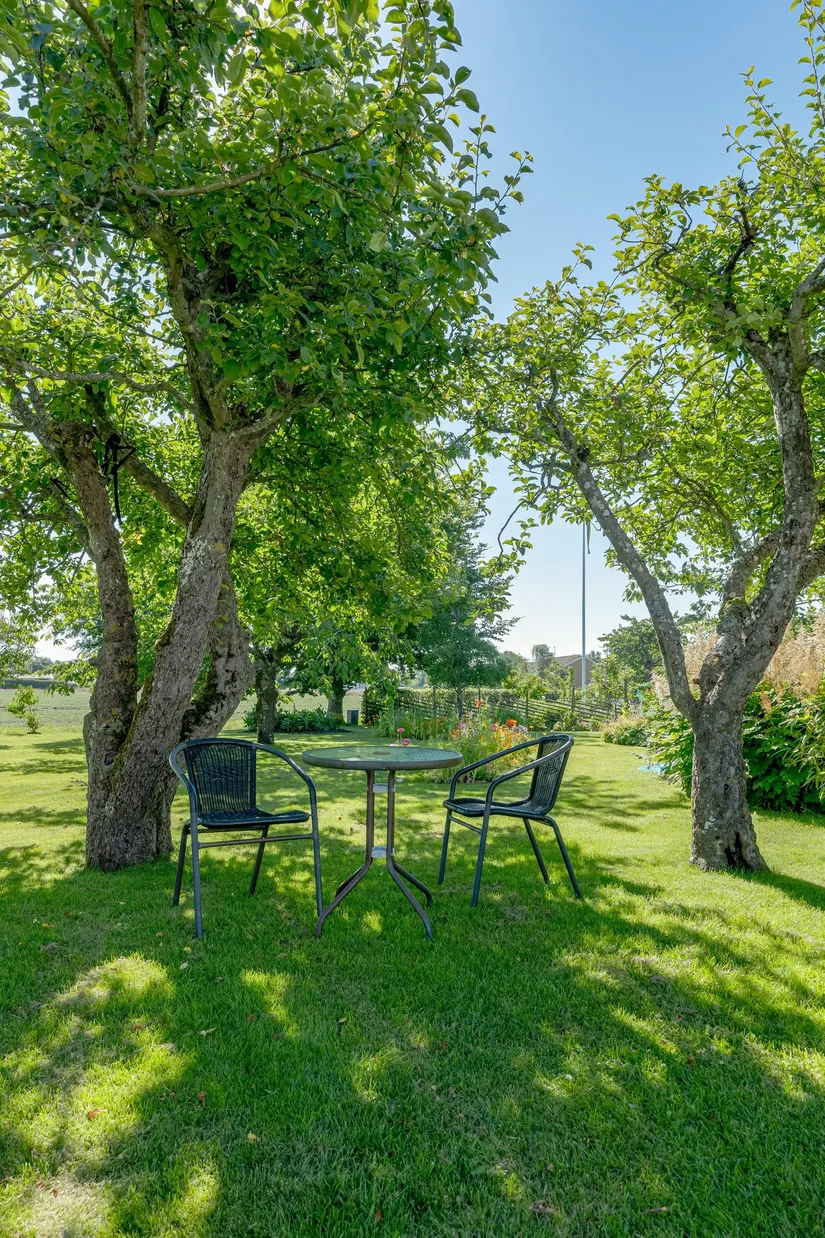 Gård/Skog, Skogstorp BÅNGA 204, Skogstorp, Falkenberg