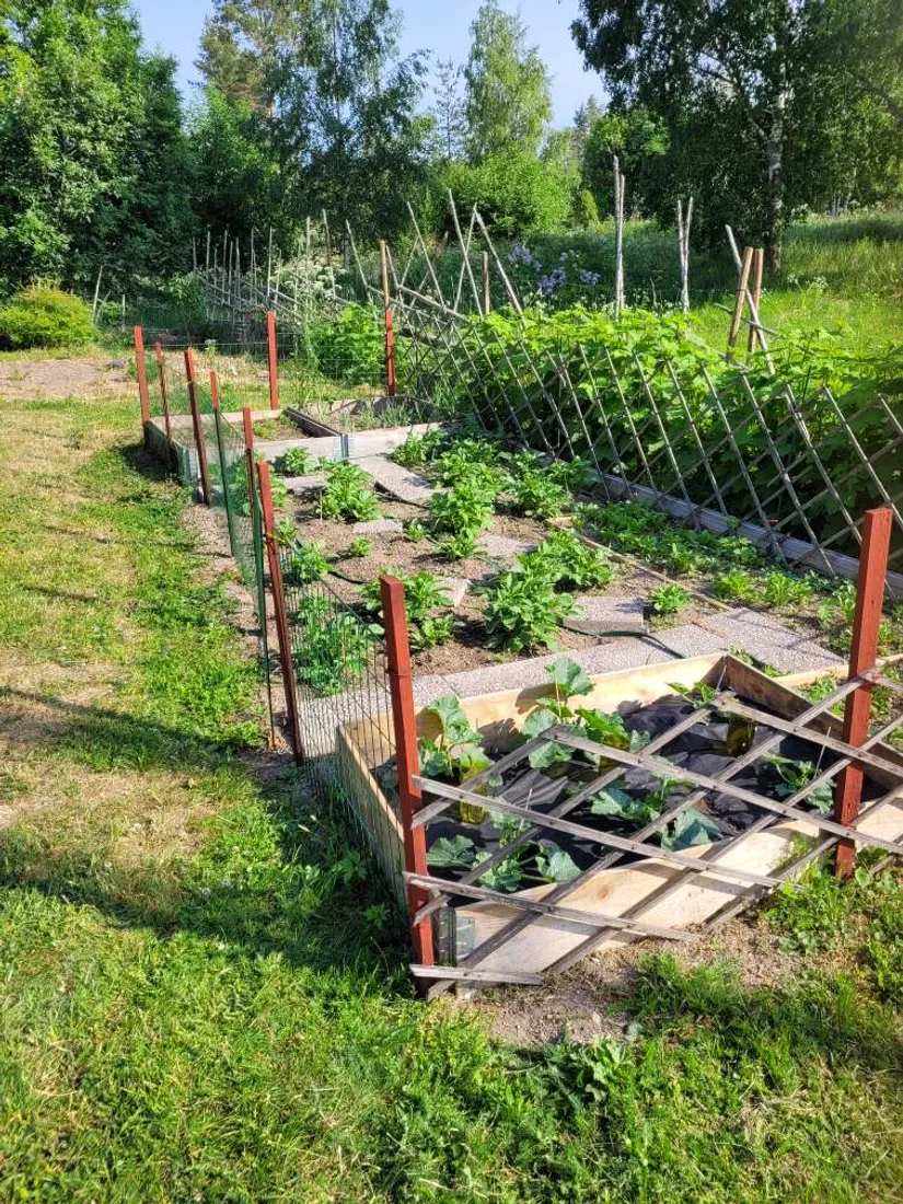 Fritidshus, Granön 510, Söderhamn - skärgården, Söderhamn