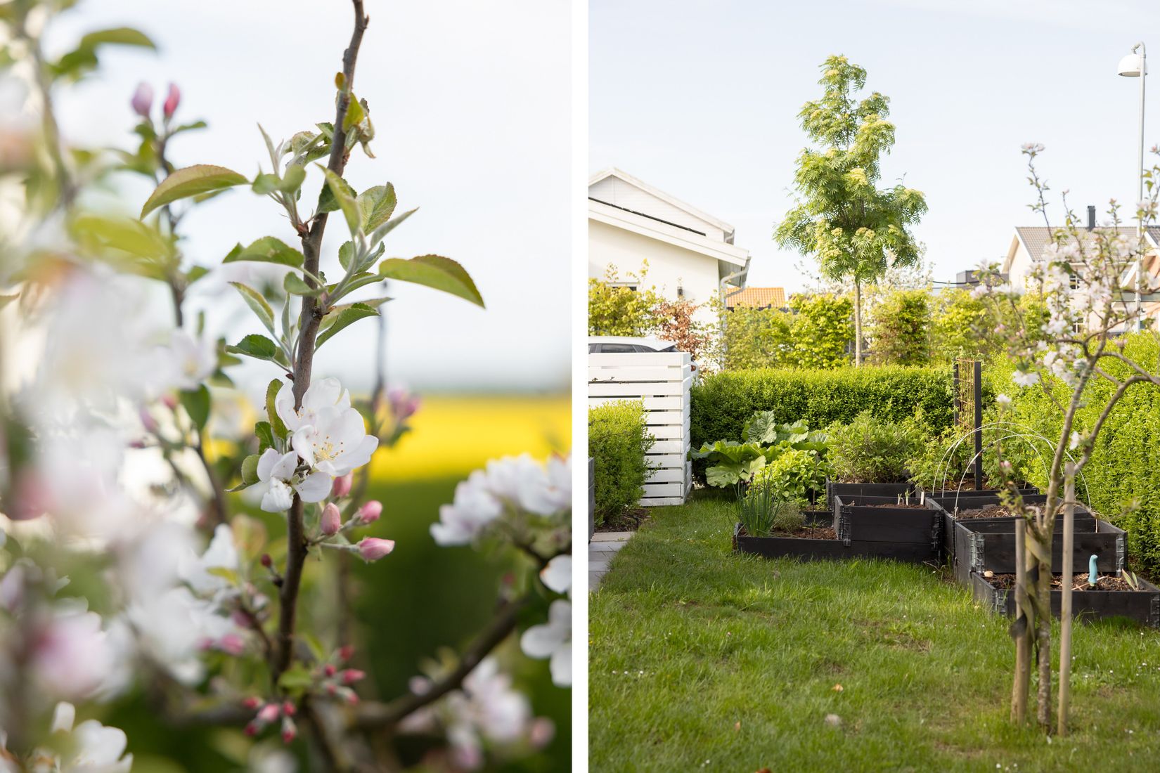 Bostadsrätt, Radhus, Blodboksvägen 17, Södra Sandby, Lund