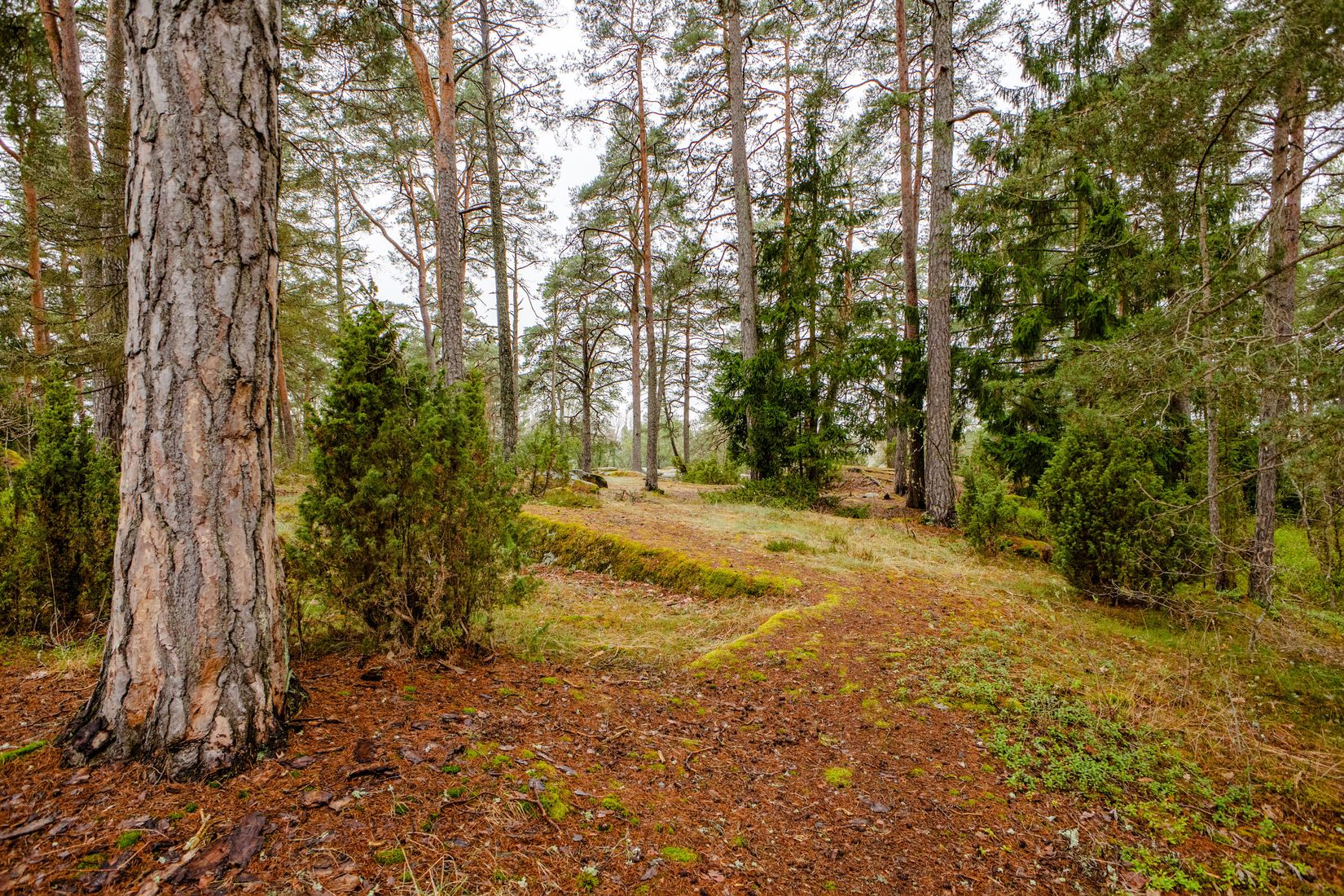 Bostadsrätt, Radhus, Bergvretsgatan 68, Bergvreten, Enköping