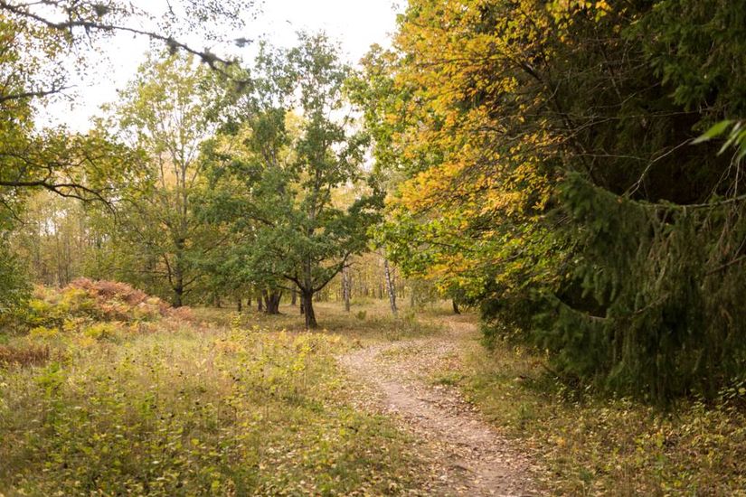 Bostadsrätt, Granvägen 83, Oppeby, Nyköping