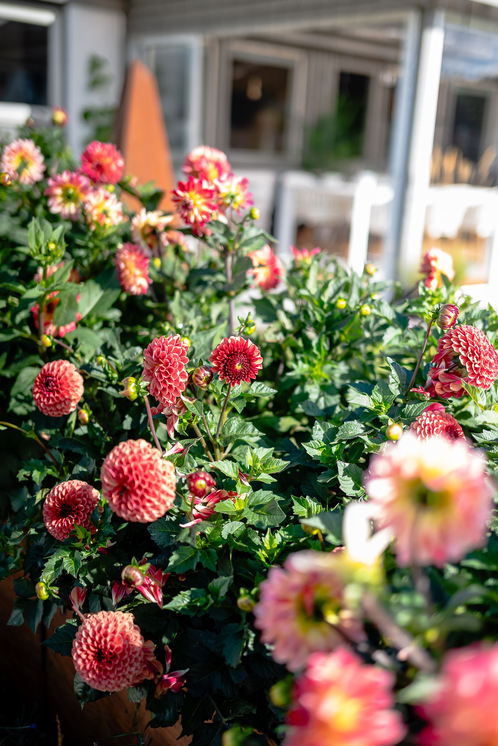 Villa, Eldarvägen 2, Stigtomta, Nyköping