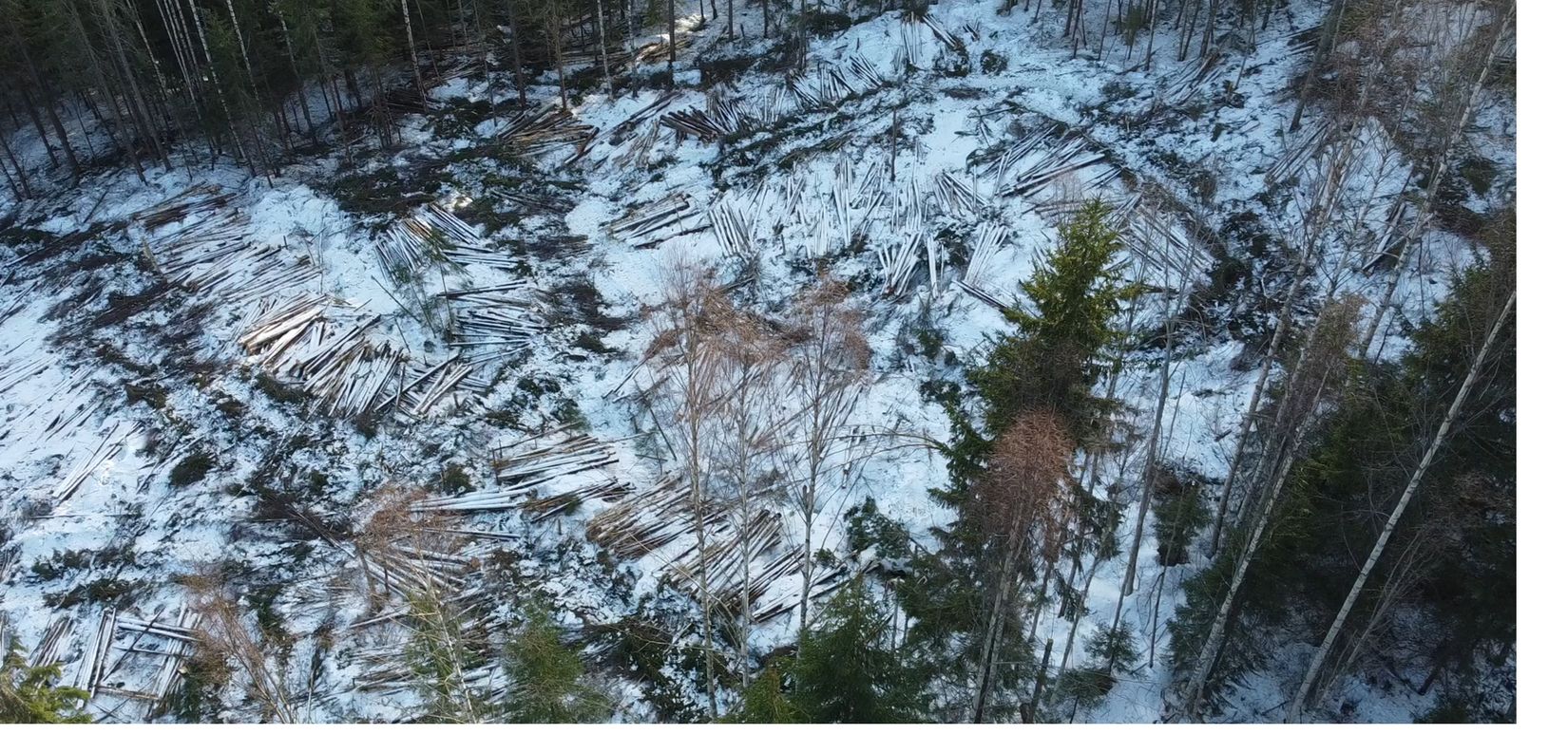 Tomt, DEL AV SUNDSVALL KLINGSTA 3:10 (Tomterna 1A och 1B), Medskogsbron - Vintertjärn, Sundsvall