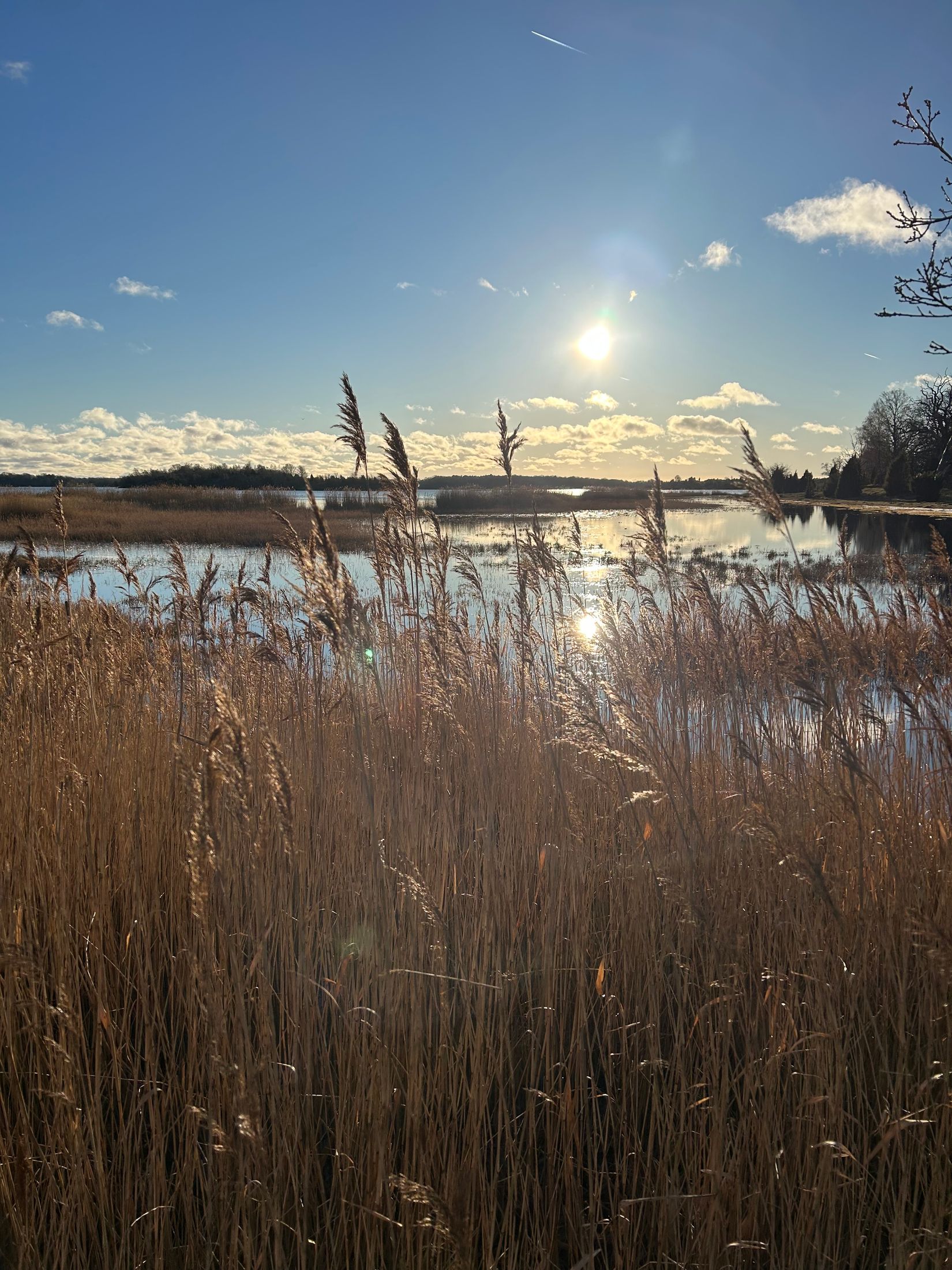 Villa, Enevägen 13, Slättanäs, Ronneby