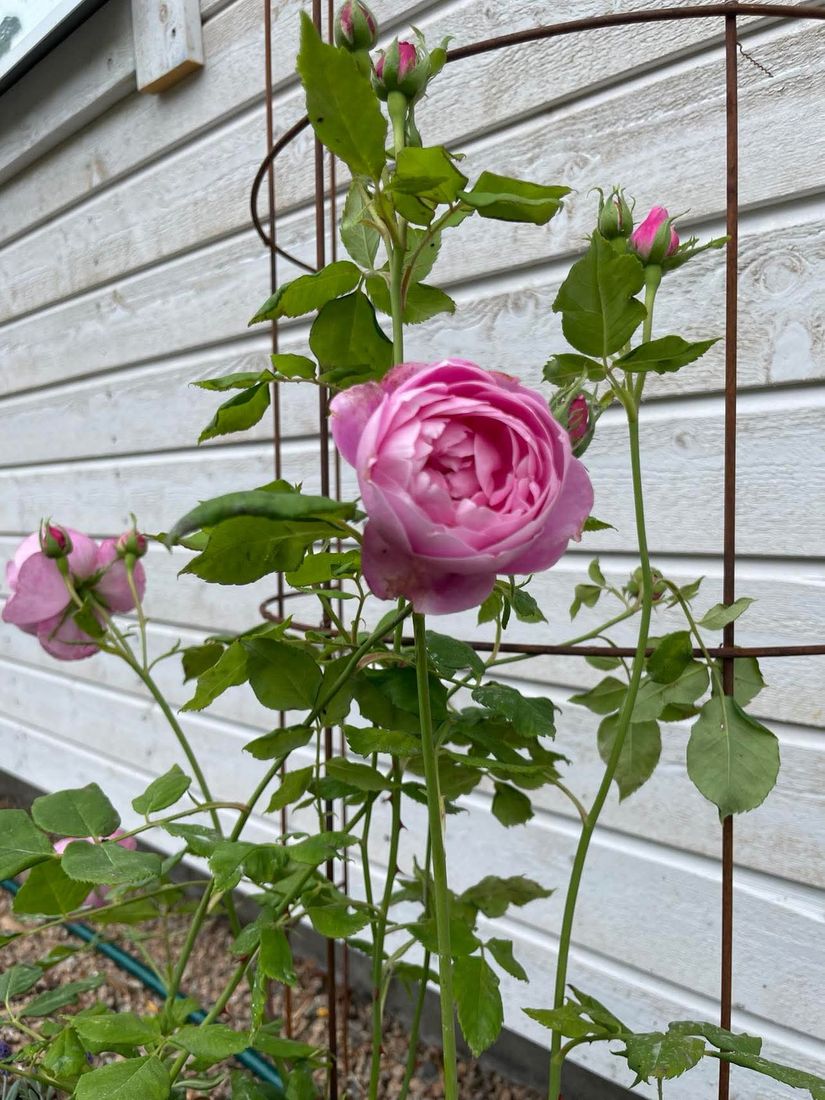 Villa, Enevägen 13, Slättanäs, Ronneby