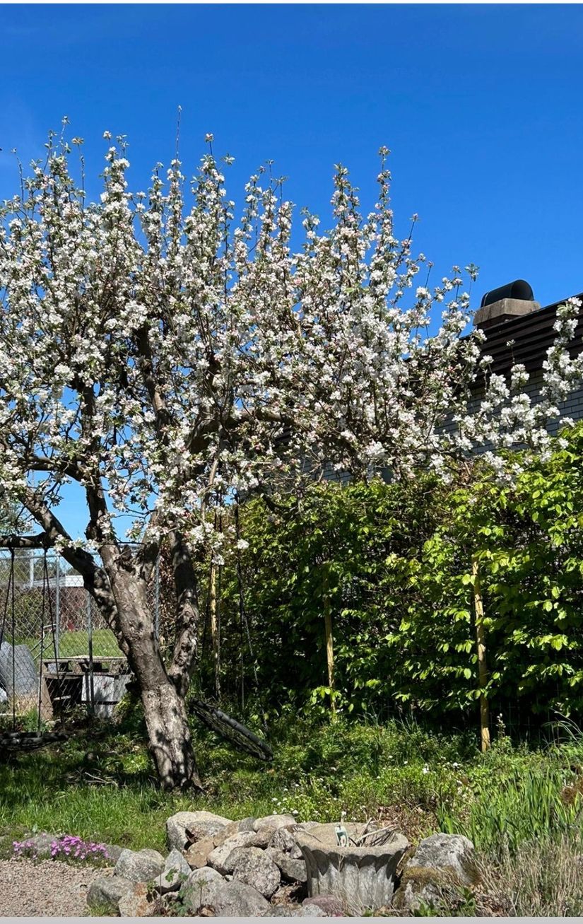 Villa, Enevägen 13, Slättanäs, Ronneby