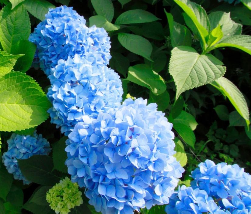 Villa, Enevägen 13, Slättanäs, Ronneby