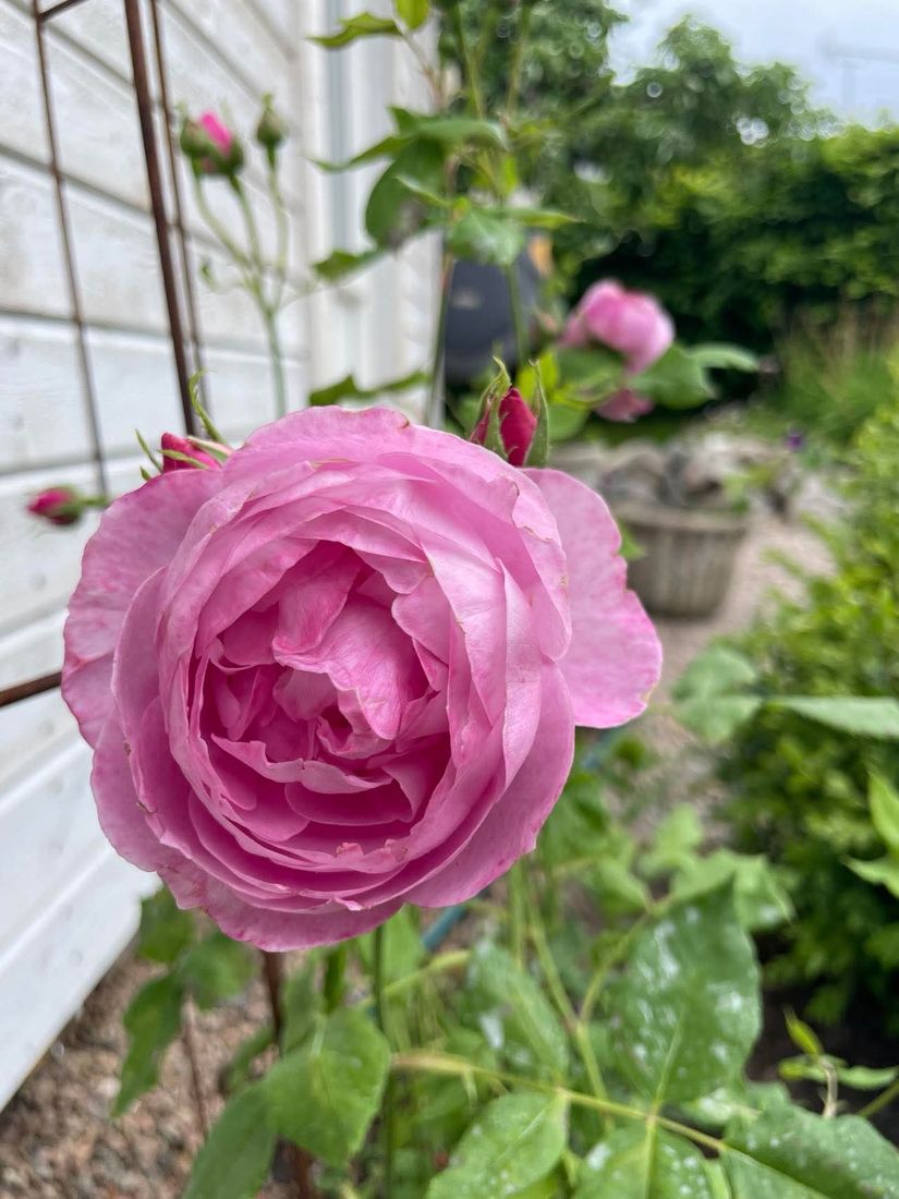 Villa, Enevägen 13, Slättanäs, Ronneby