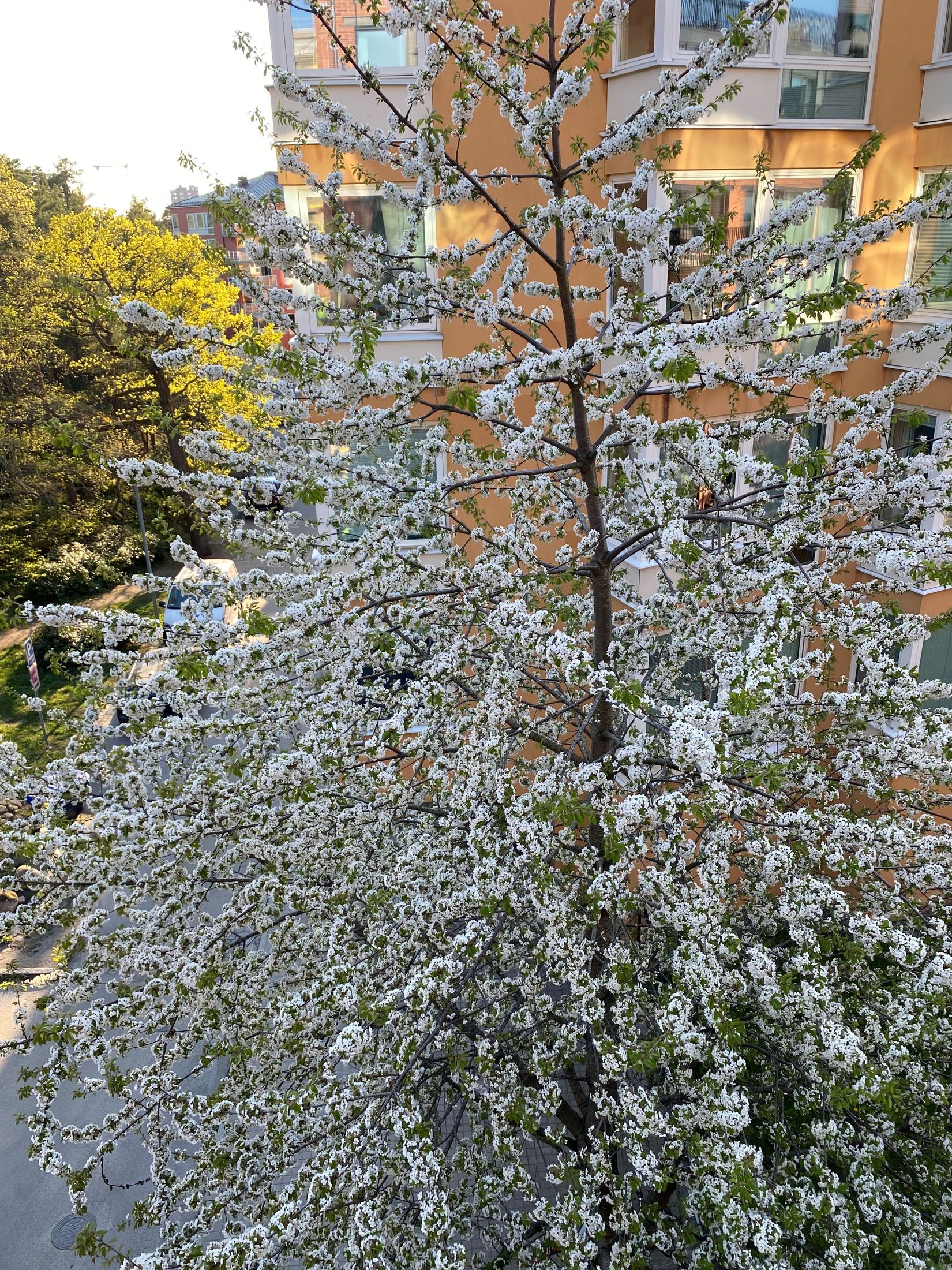 Bostadsrätt, Fabrikörvägen 10A, Nacka strand, Nacka