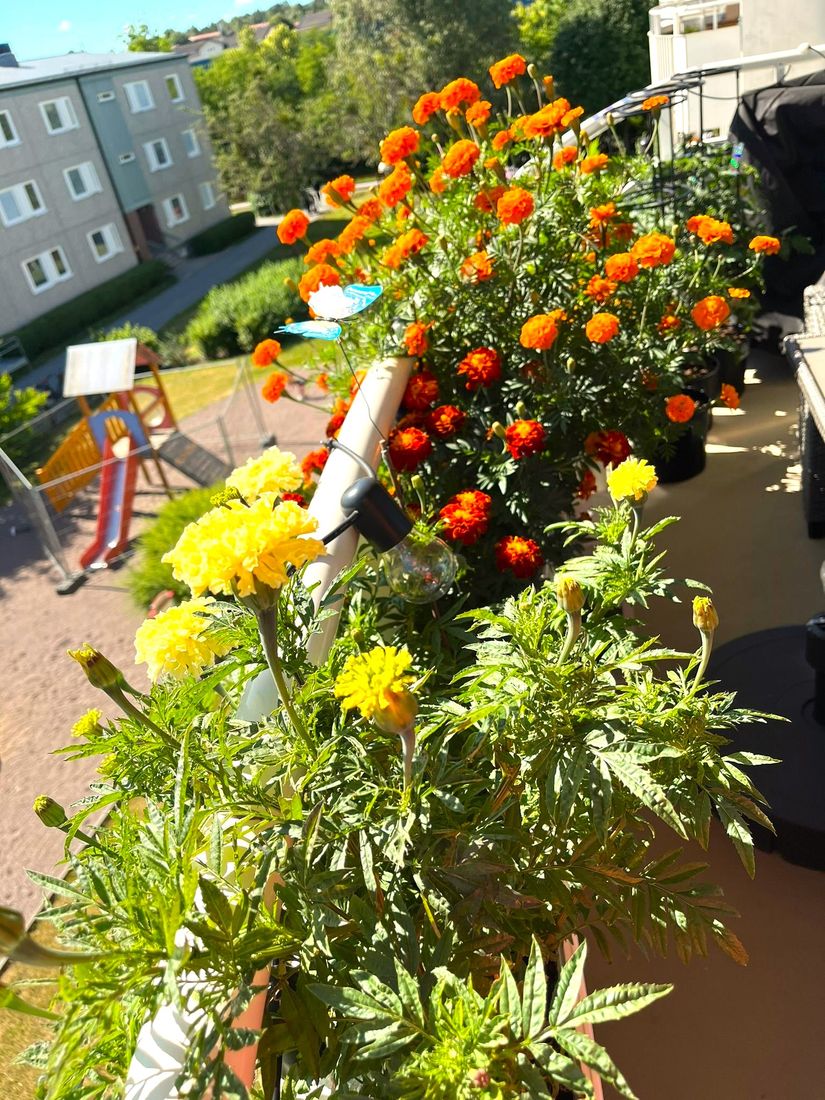 Bostadsrätt, Axvägen 69, Viksjö, Järfälla