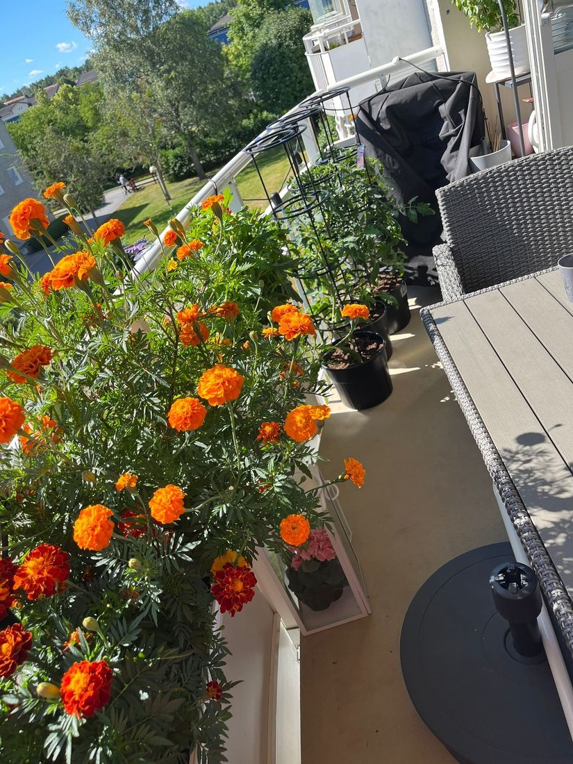 Bostadsrätt, Axvägen 69, Viksjö, Järfälla