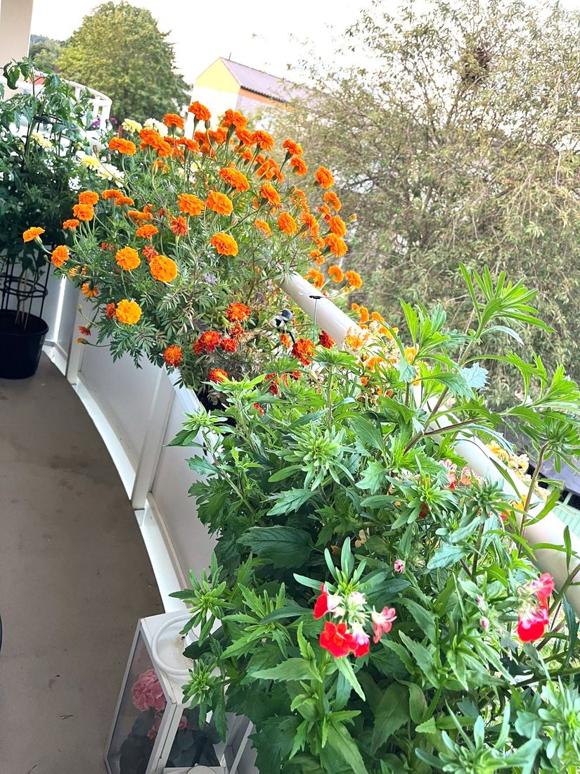 Bostadsrätt, Axvägen 69, Viksjö, Järfälla