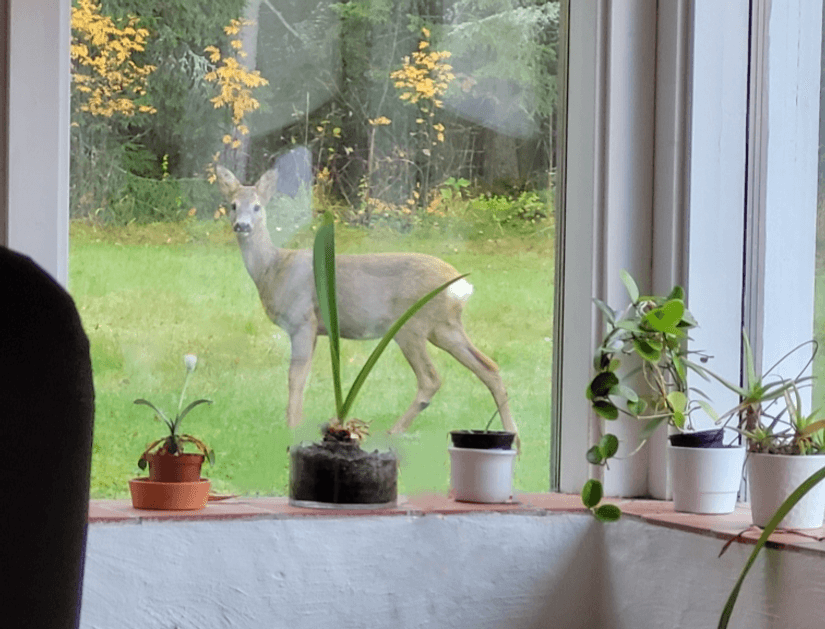 Villa, Fågelviks-Hult 704, Karlstad