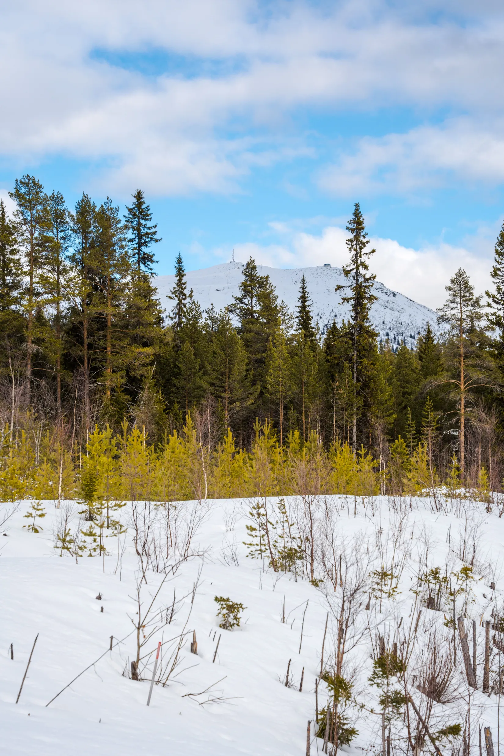 Tomt, Detaljplan för Lofsdalen 5:98, Lofsdalen, Härjedalen
