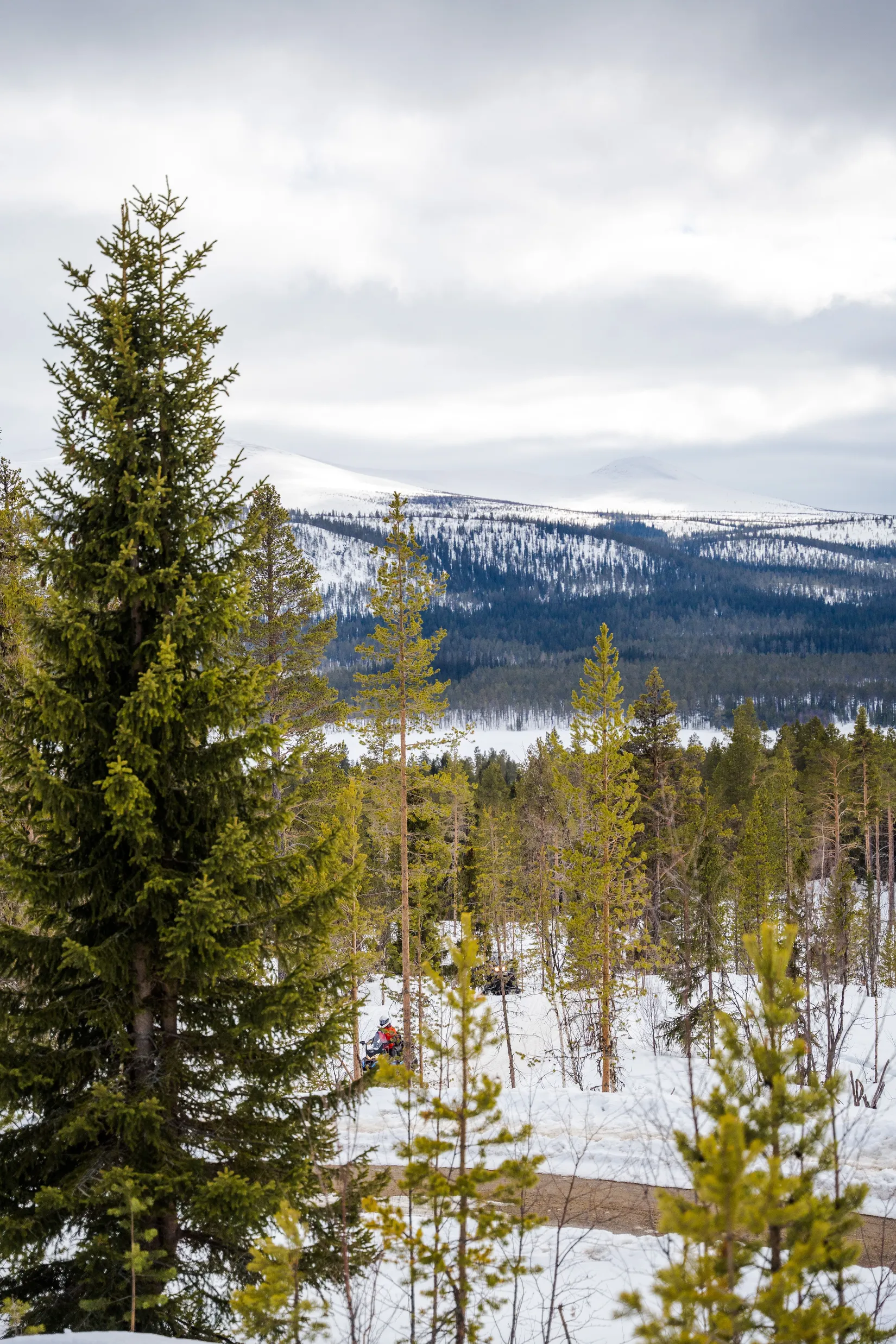 Tomt, Detaljplan för Lofsdalen 5:98, Lofsdalen, Härjedalen