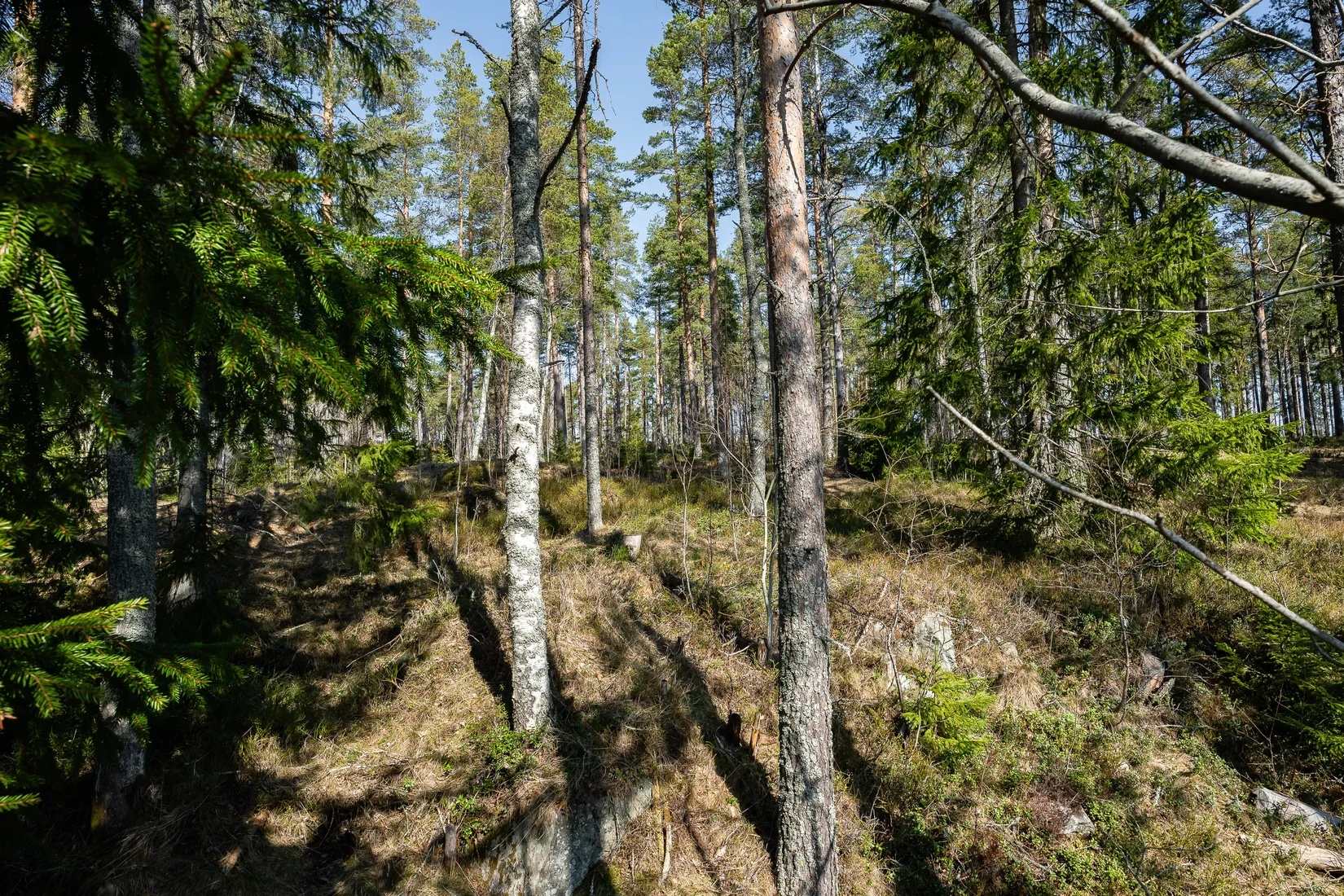Villa, Betesvägen 36, Bondsjöhöjden, Härnösand