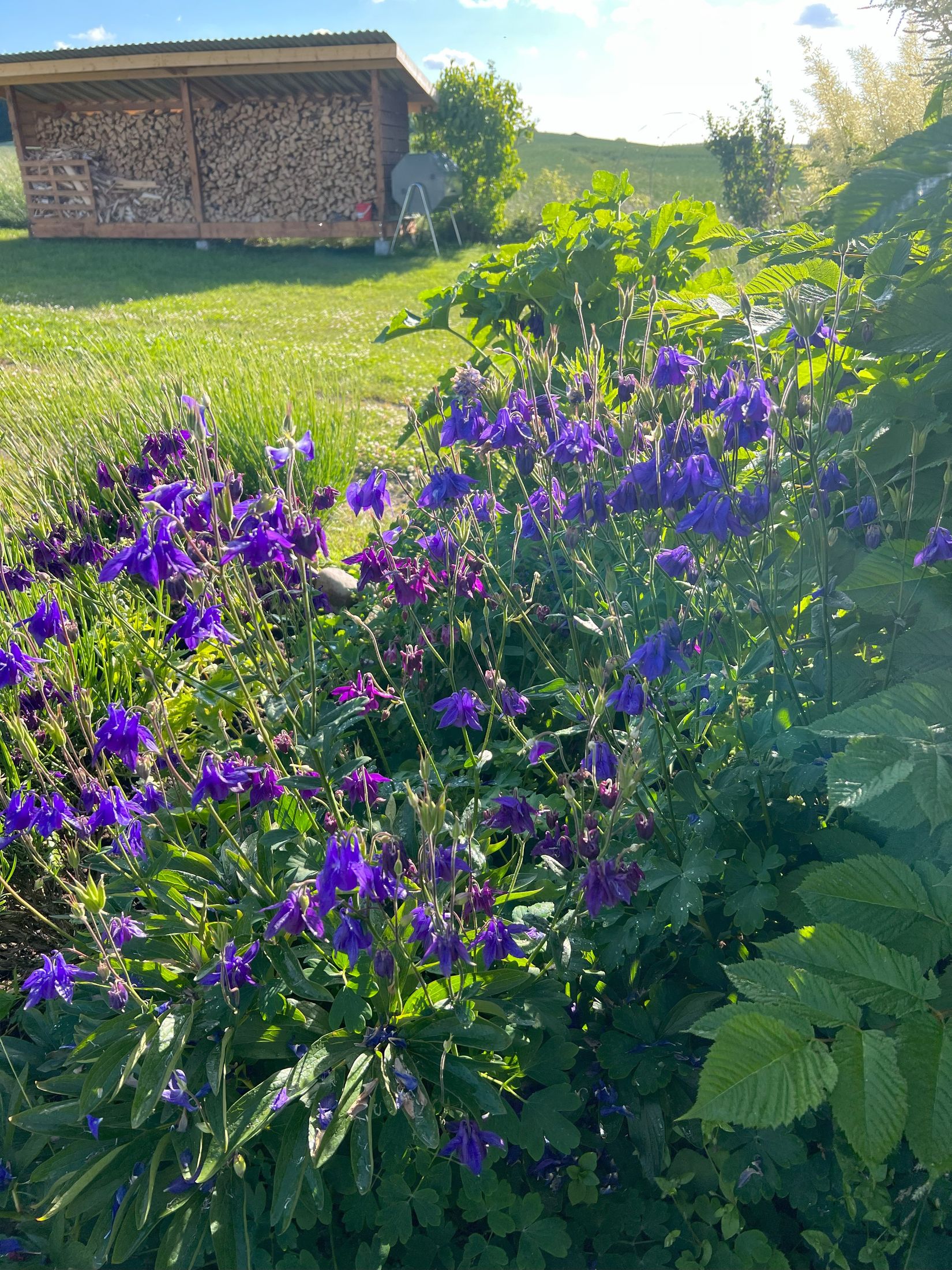 Villa, Erikslundsvägen 140, Gussnava , Ystad
