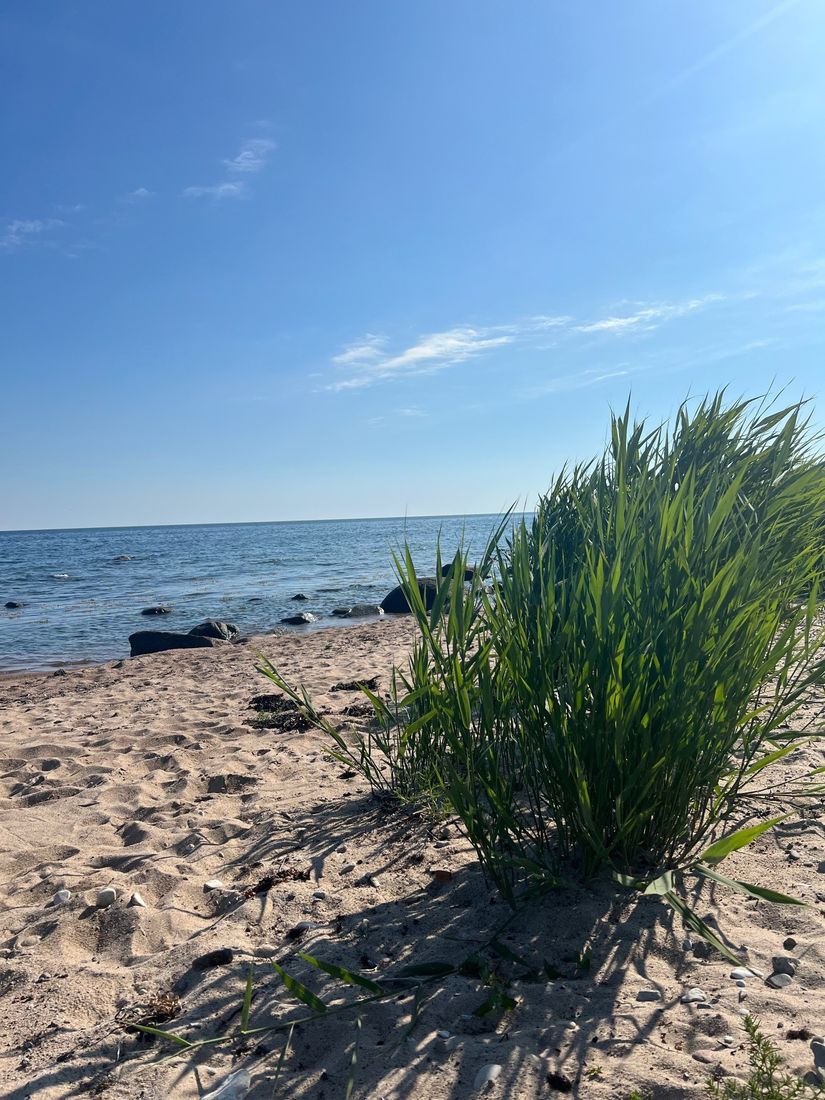 Villa, Erikslundsvägen 140, Gussnava , Ystad