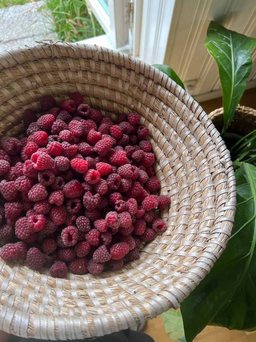 Villa, Erikslundsvägen 140, Gussnava , Ystad