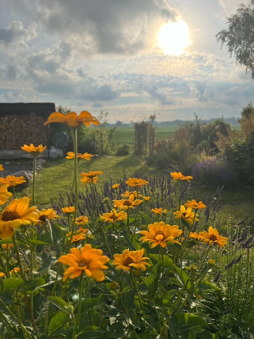 Villa, Erikslundsvägen 140, Gussnava , Ystad