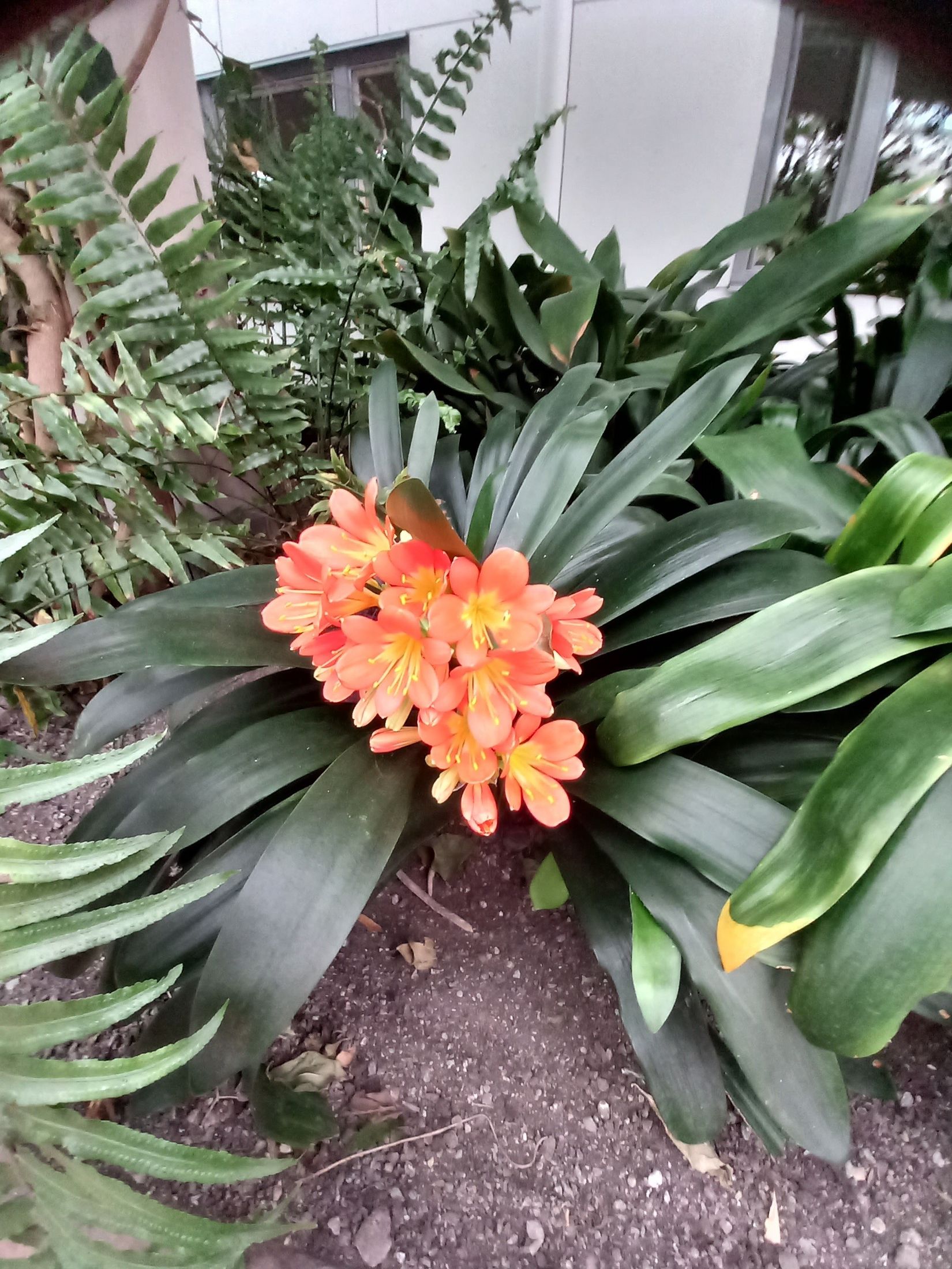 Bostadsrätt, Varpvägen  9, Strängnäs