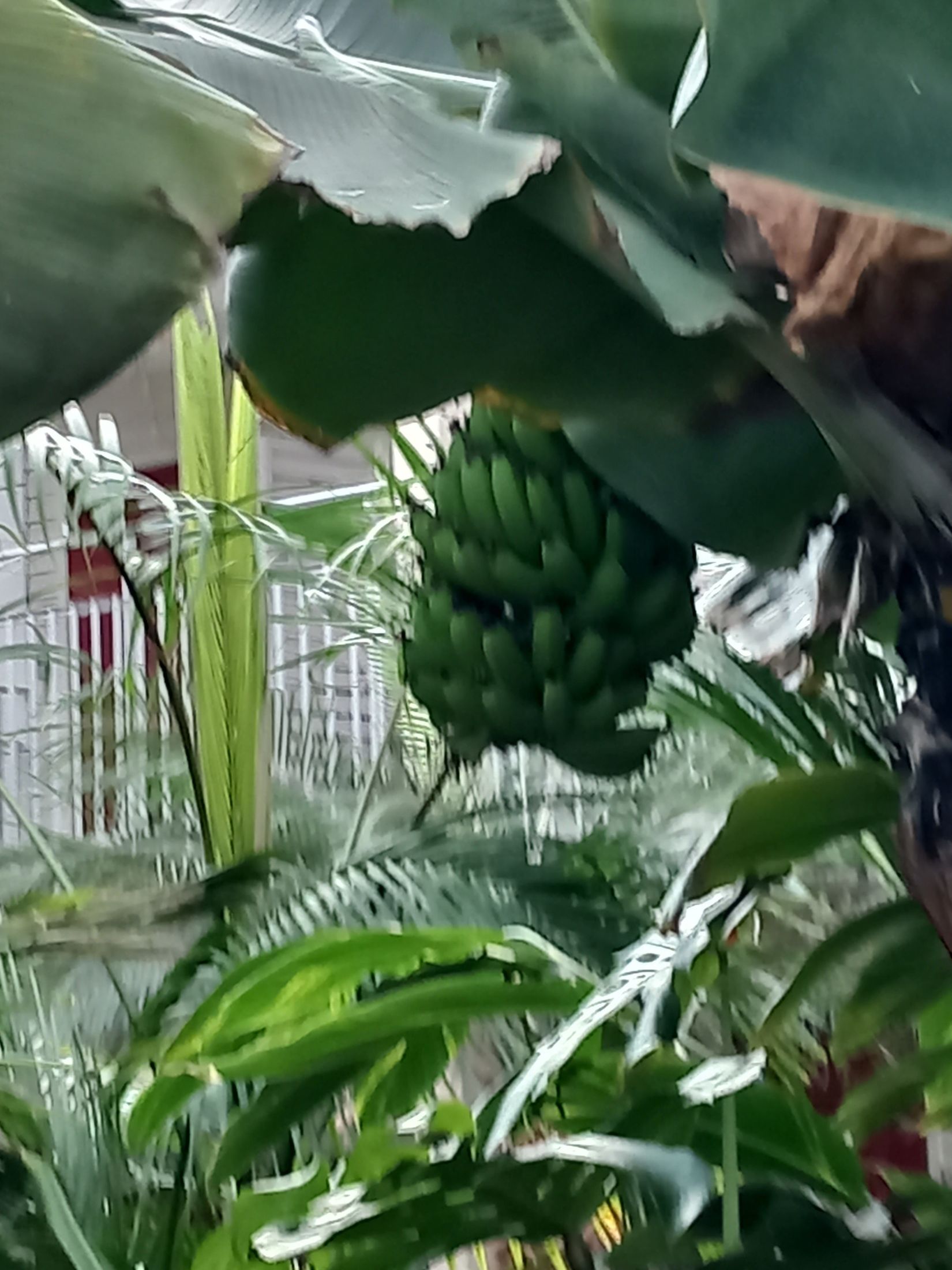 Bostadsrätt, Varpvägen  9, Strängnäs