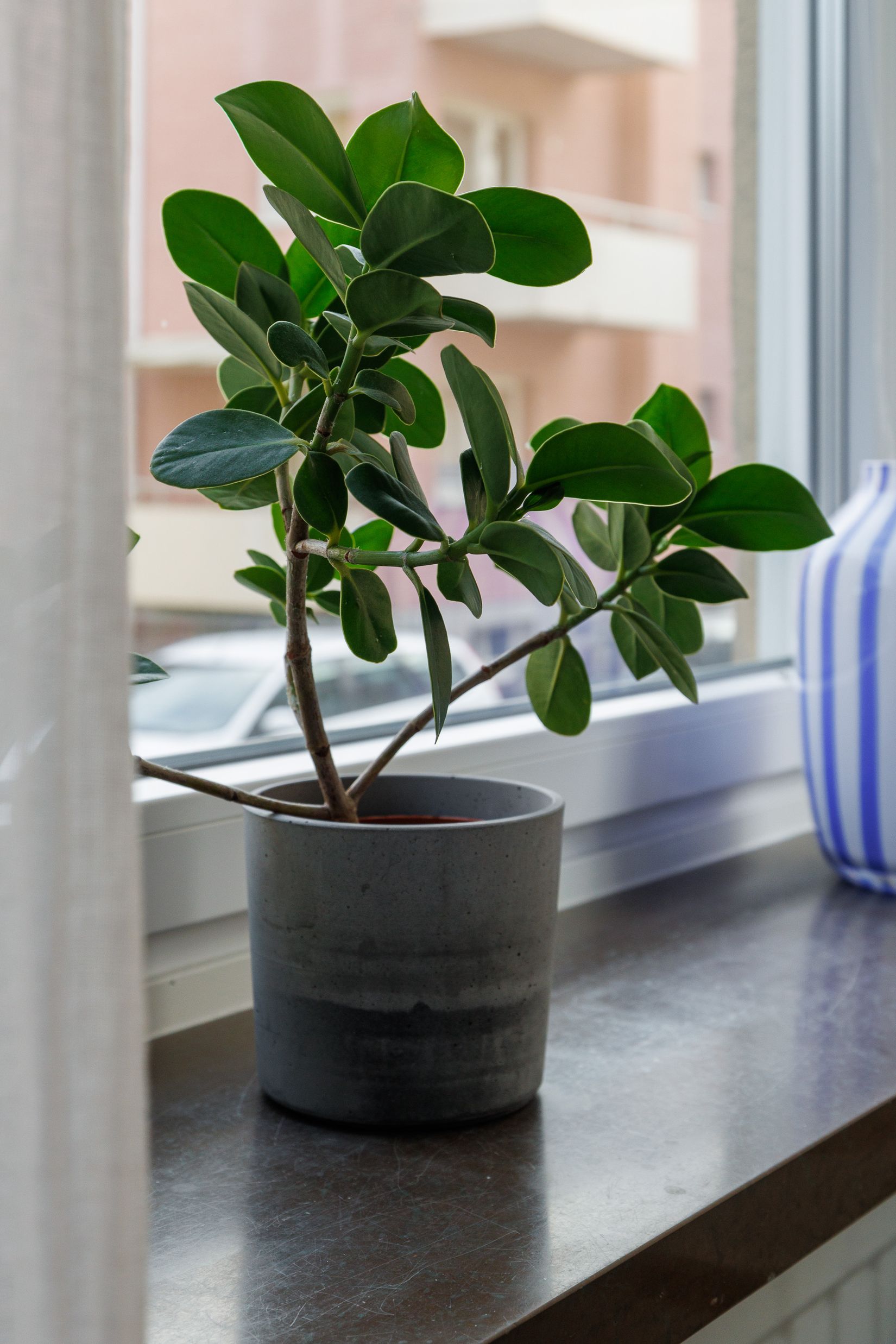 Bostadsrätt, Mäster Larsgatan 10 B, Centralt Norr, Örebro