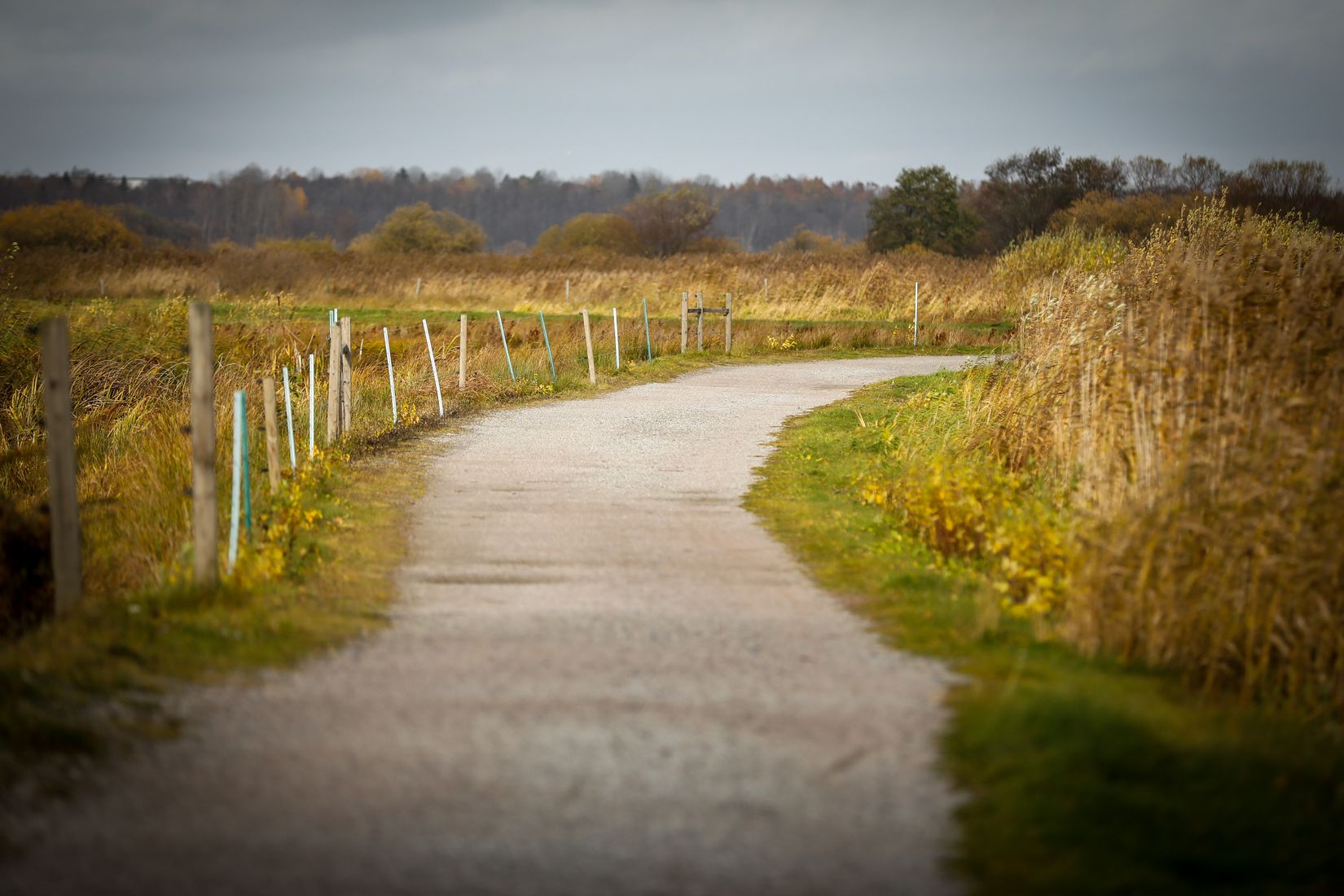 Bostadsrätt, Mäster Larsgatan 10 B, Centralt Norr, Örebro