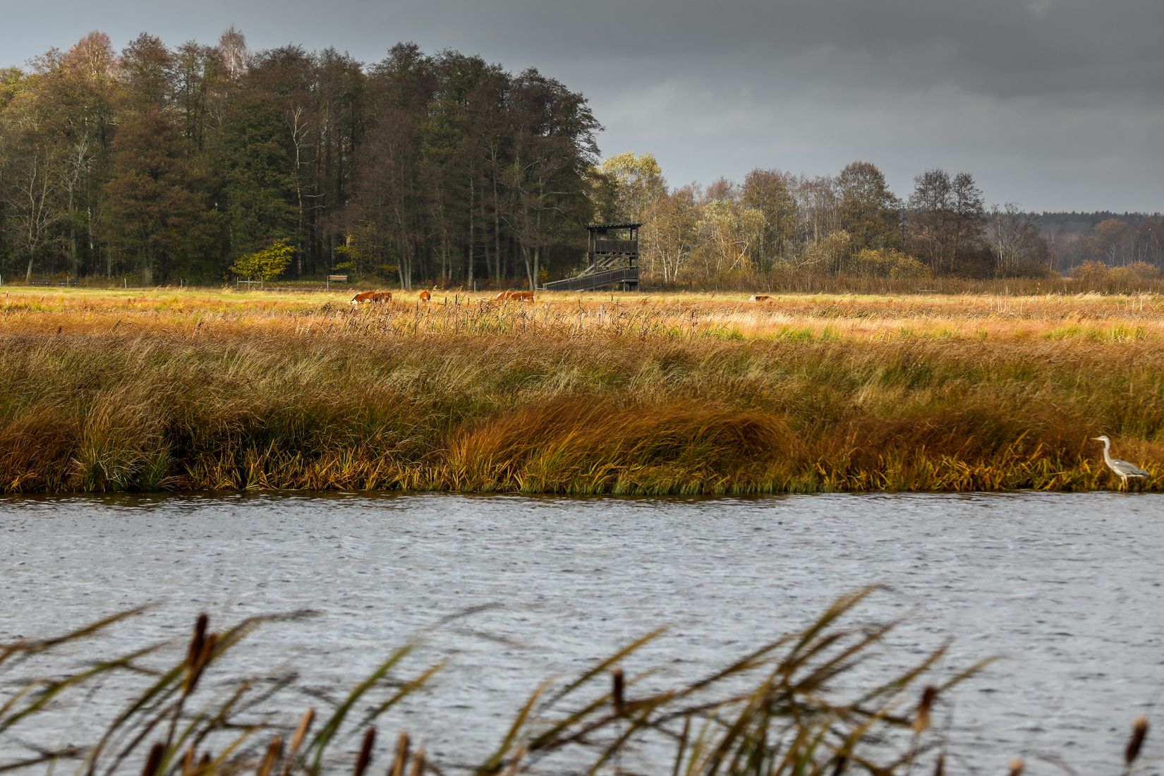 Bostadsrätt, Mäster Larsgatan 10 B, Centralt Norr, Örebro