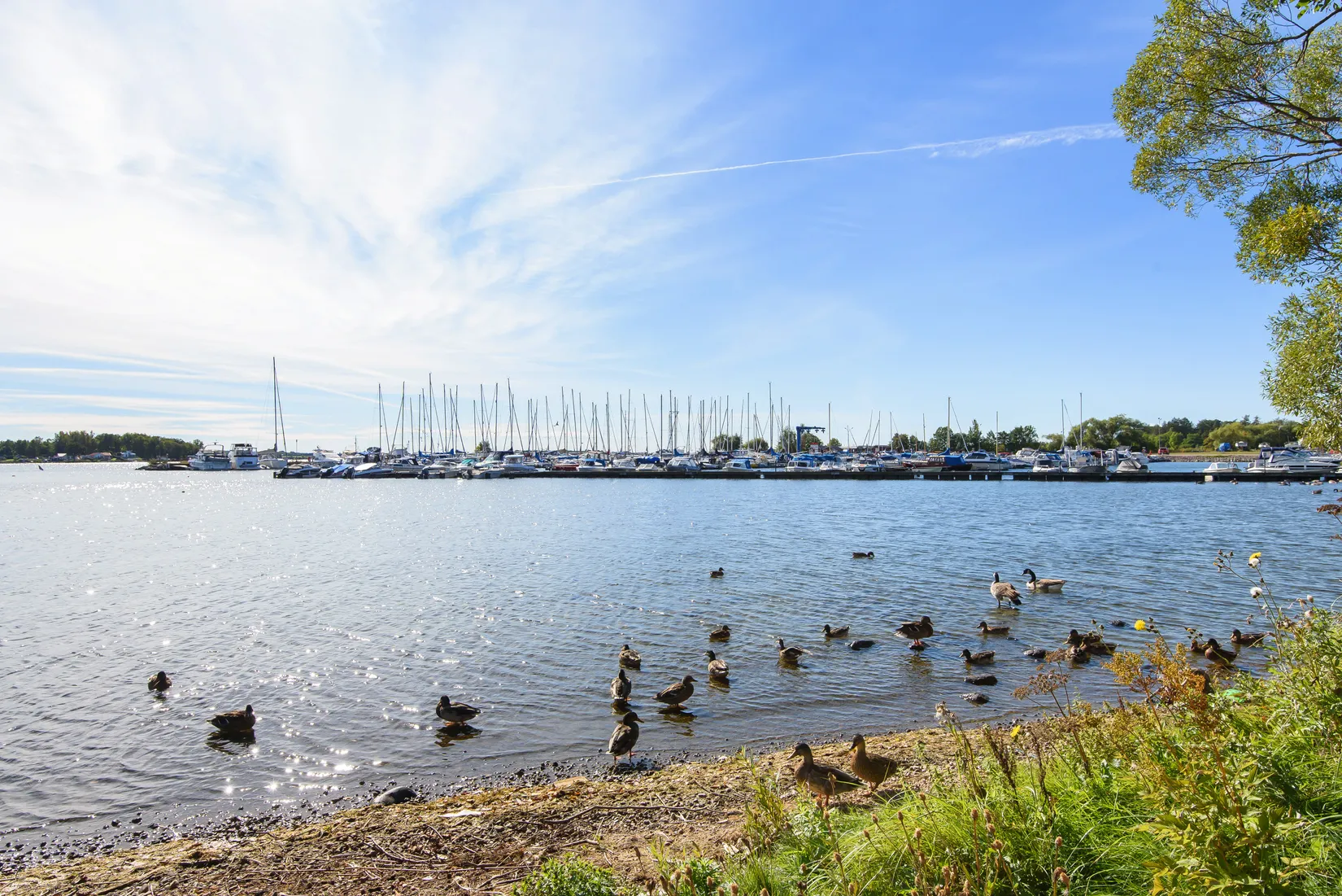 Villa, Radhus, Fågelsångsvägen 14, Tegelviken, Motala