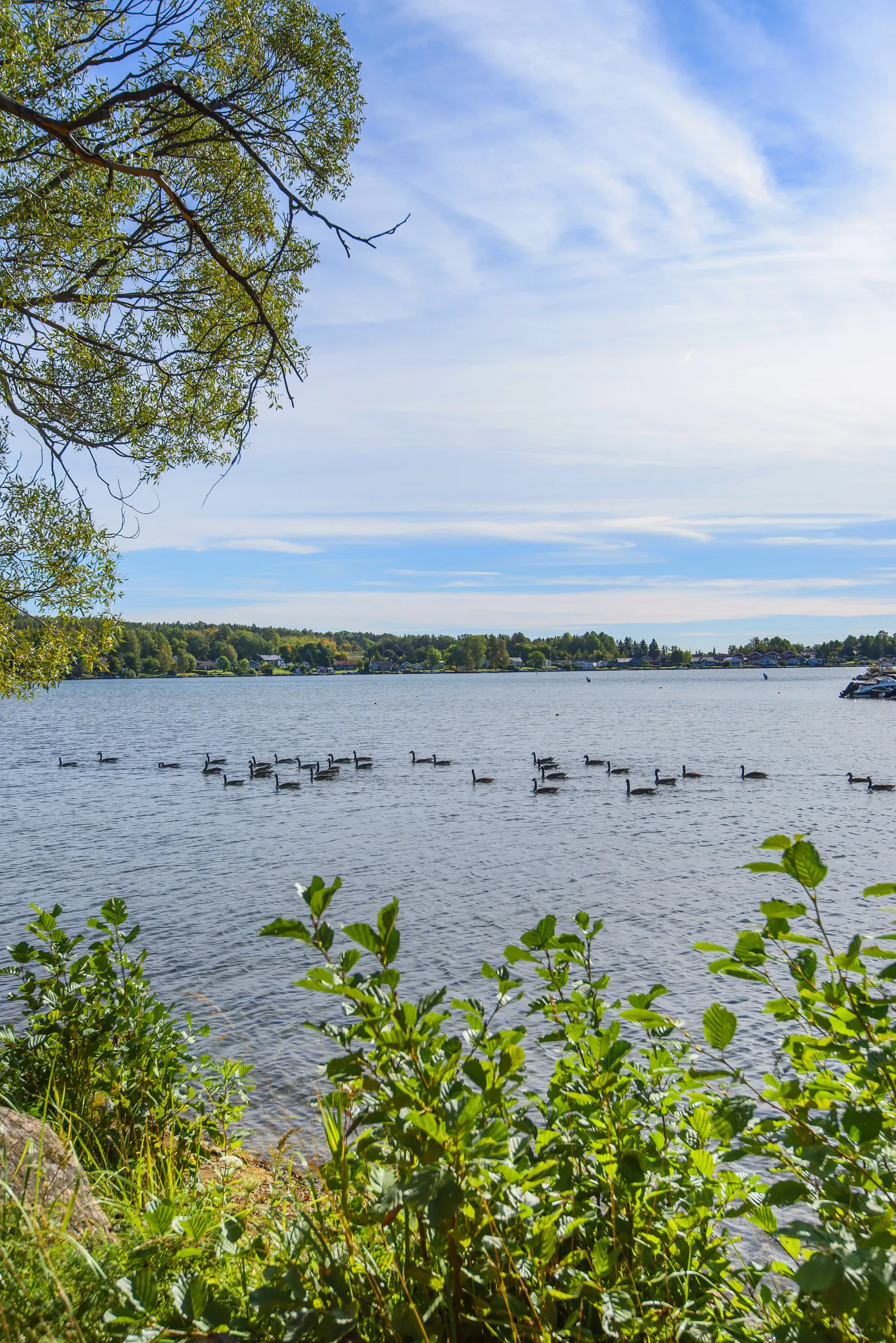 Villa, Radhus, Fågelsångsvägen 14, Tegelviken, Motala
