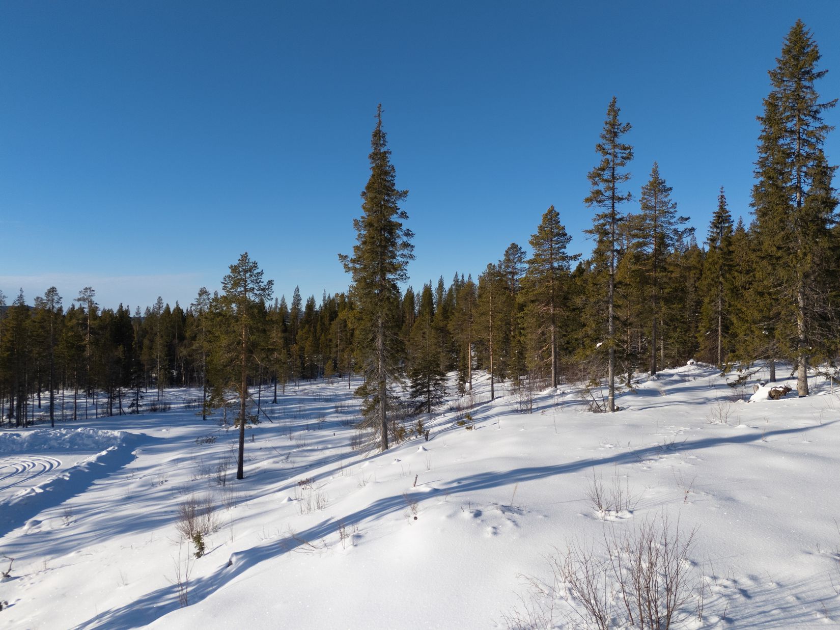 Tomt, Lovsångsslingan 24, Härjedalen