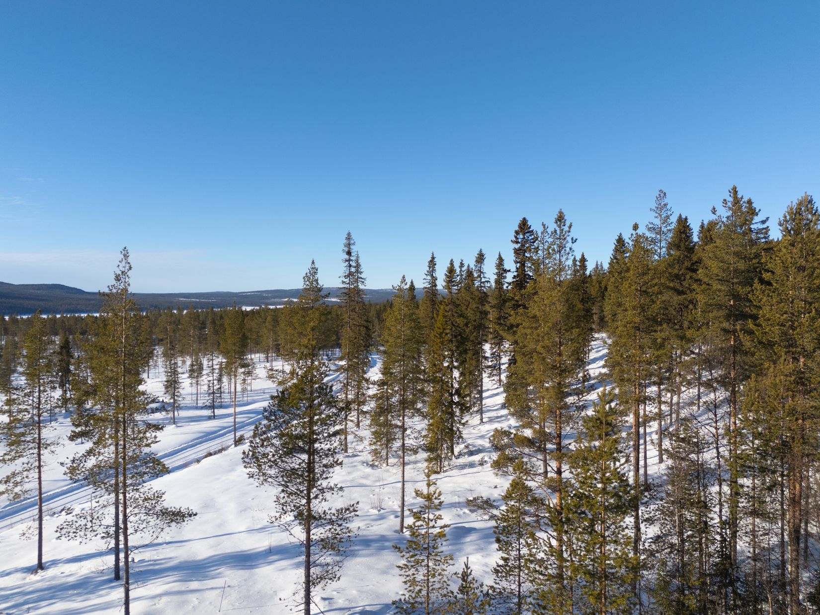 Tomt, Lovsångsslingan 12, Härjedalen