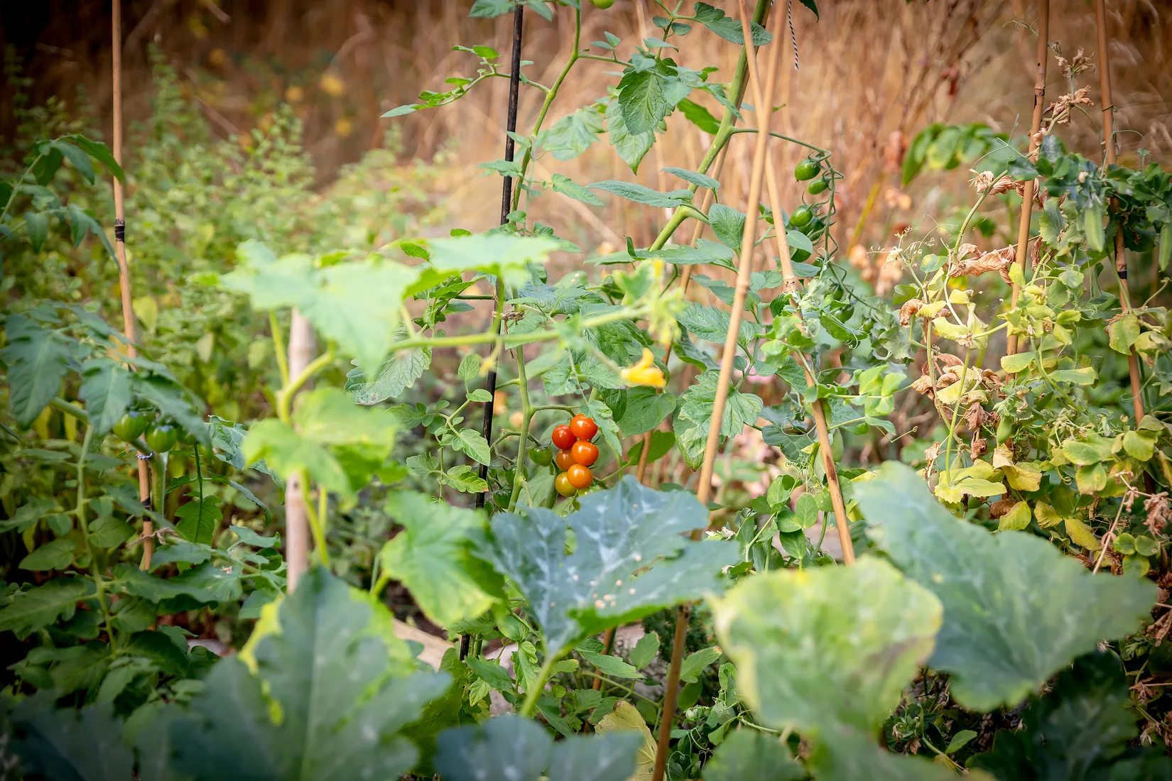 Bostadsrätt, Bäckvägen 110, Hägerstensåsen/Telefonplan, Stockholm