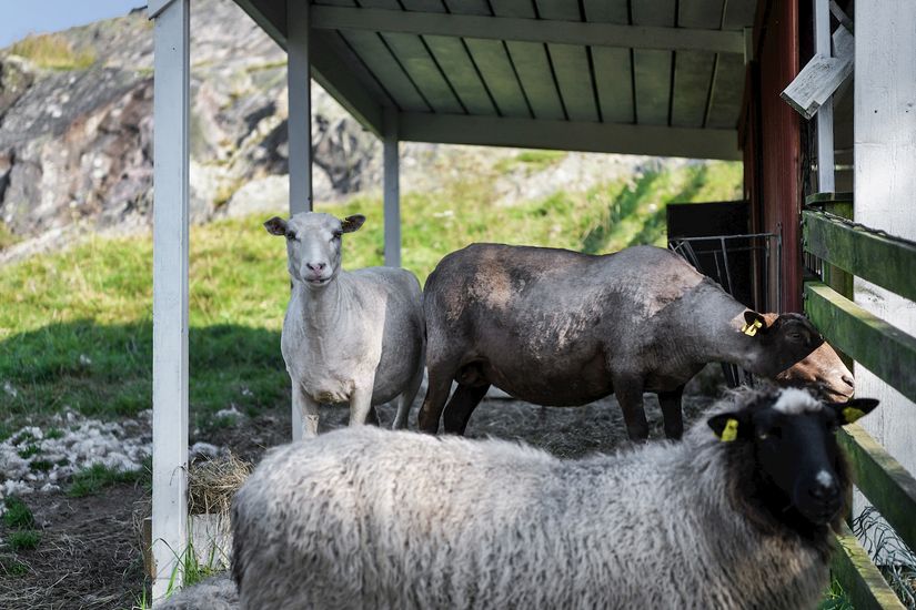 Bostadsrätt, Sägengatan 55A, Hisings Backa, Göteborg