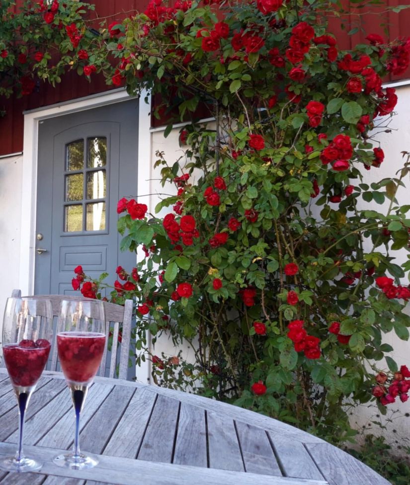 Gård/Skog, Dotorp 200, Kungälv - Kärna, Kungälv