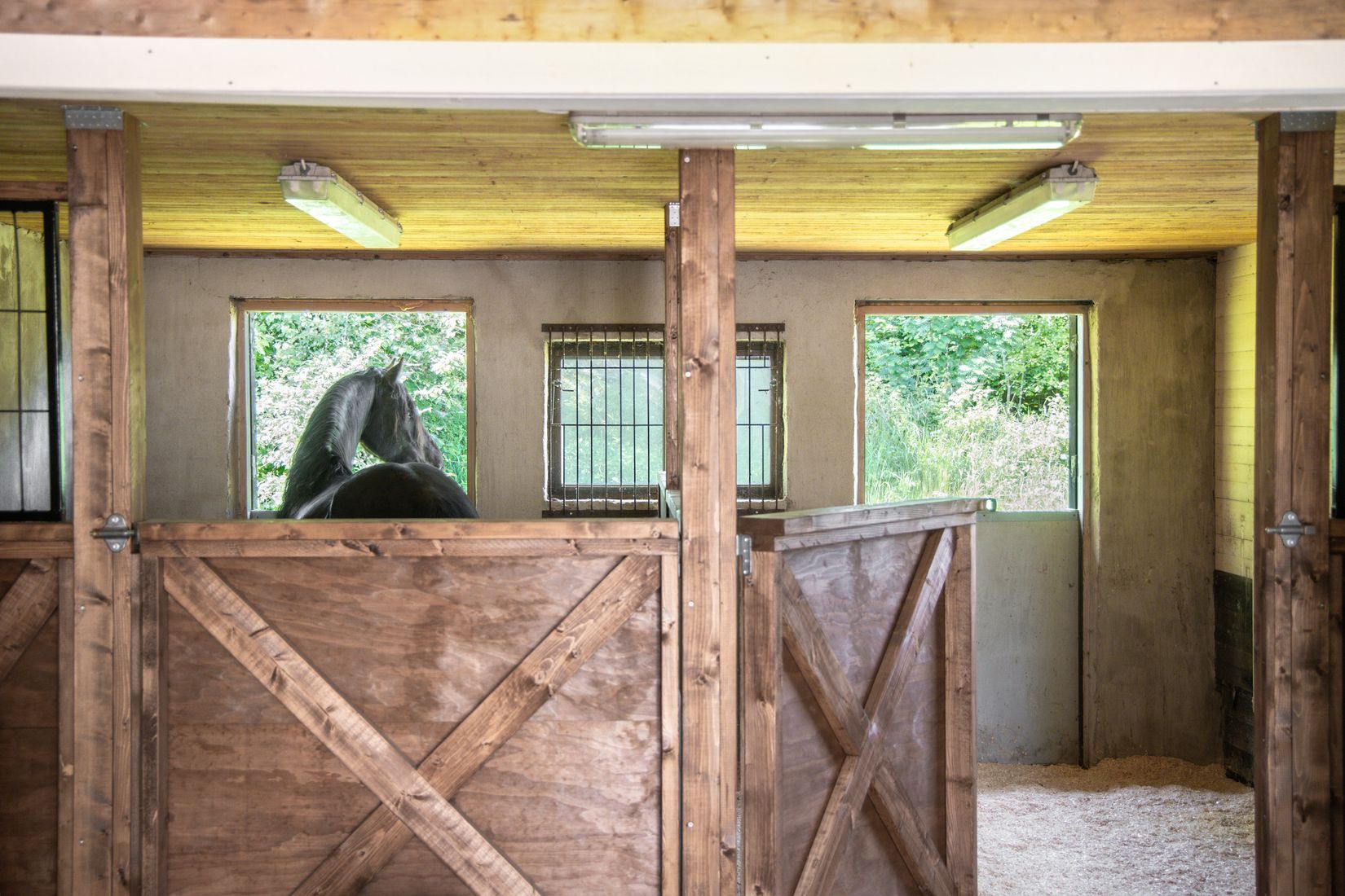 Gård/Skog, Dotorp 200, Kungälv - Kärna, Kungälv