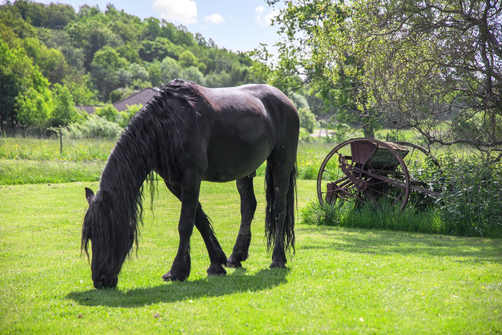 Gård/Skog, Dotorp 200, Kungälv - Kärna, Kungälv
