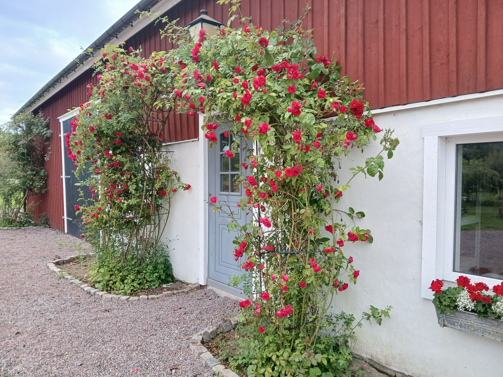 Gård/Skog, Dotorp 200, Kungälv - Kärna, Kungälv