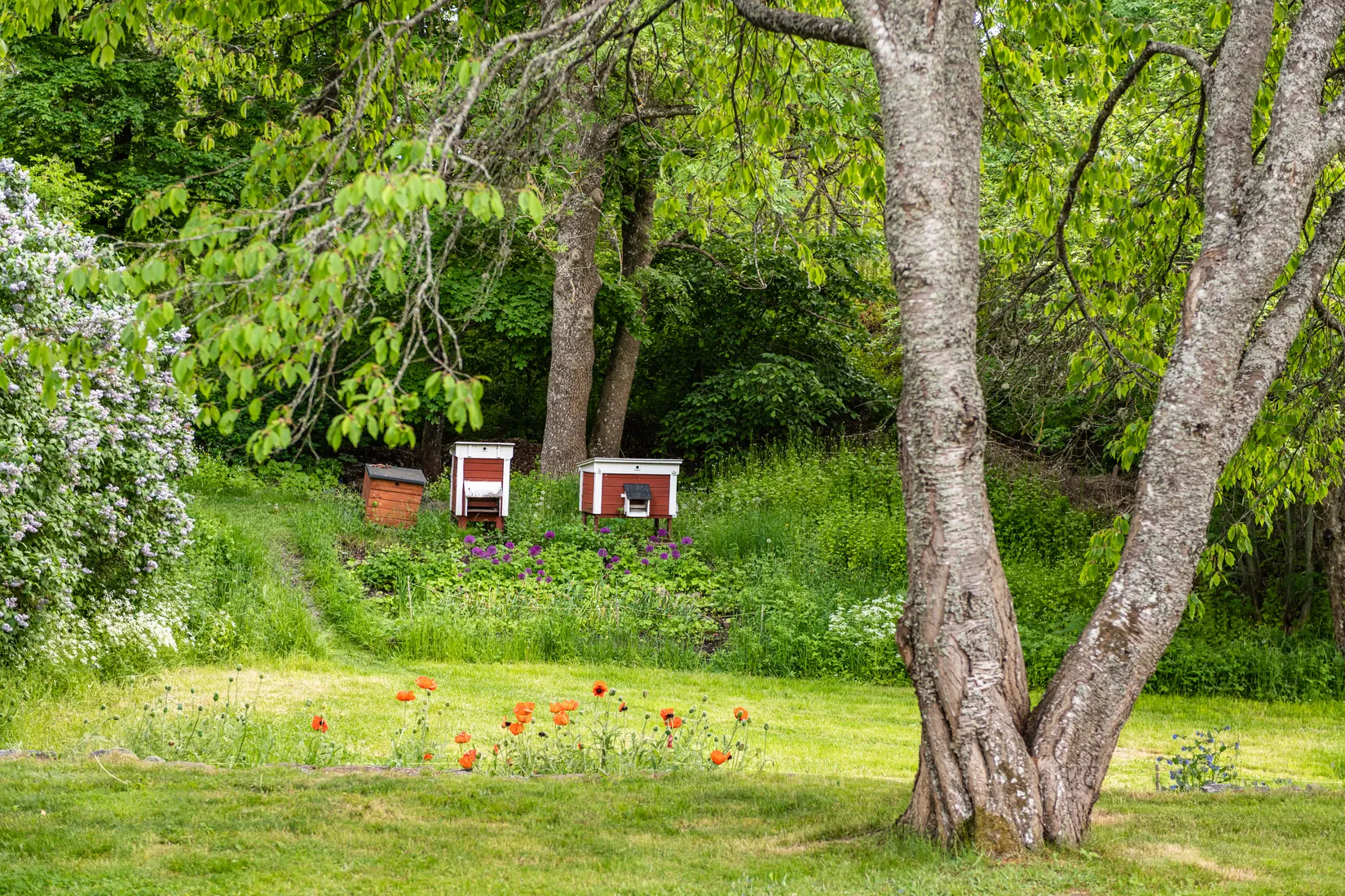 Bostadsrätt, Ölmevägen 10, Farsta, Stockholm