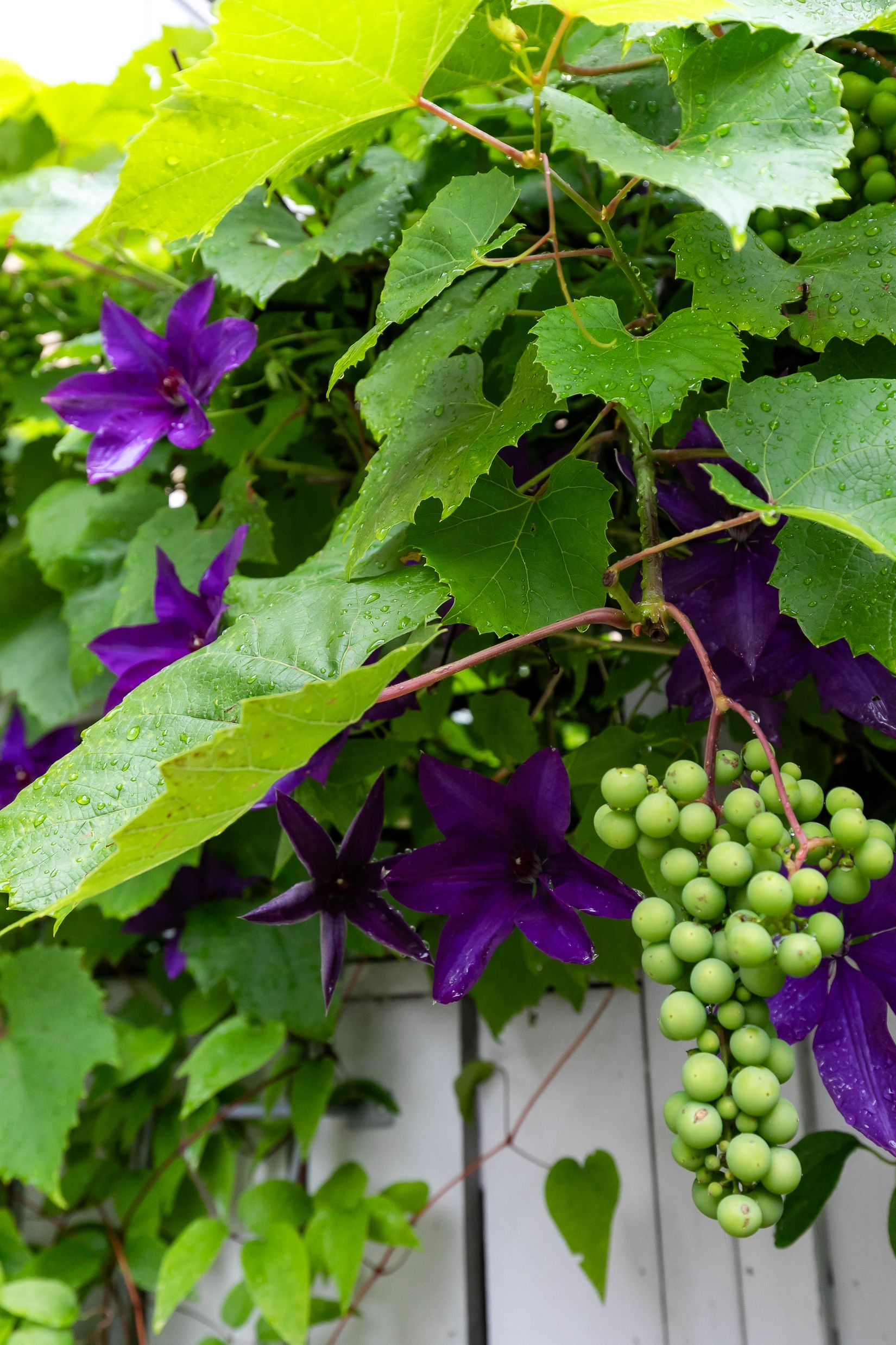 Bostadsrätt, Manillagatan 27B, Centralt Öster, Örebro