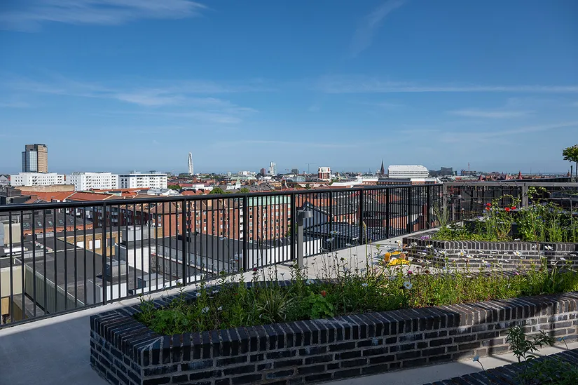 Bostadsrätt, Typografgatan 4B, Möllevången, Malmö