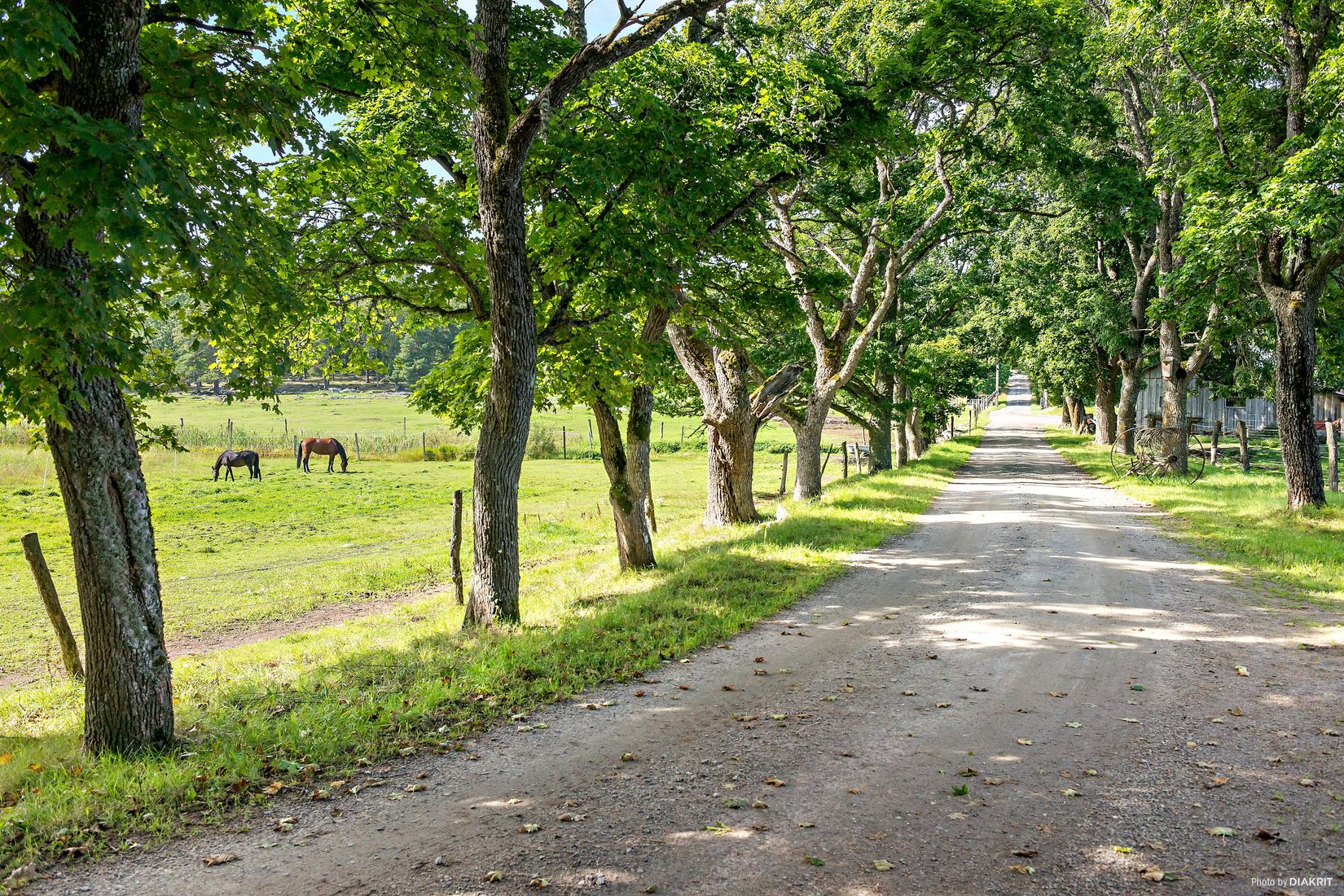 Fritidshus, Norrängshöjden 11, Håtö, Norrtälje