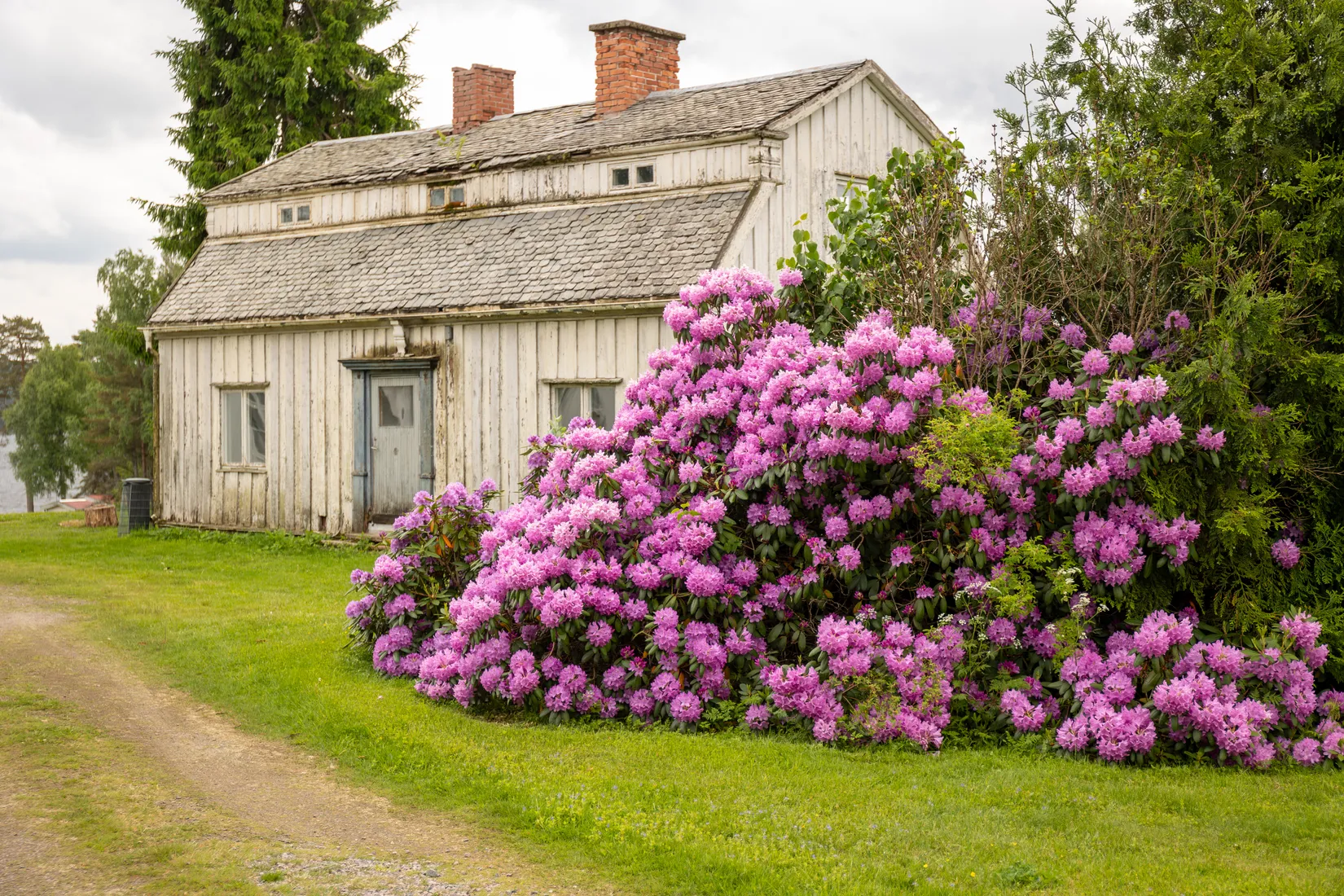 Gård/Skog, Svedenäs herrgård 230, Svedenäs, Karlstad